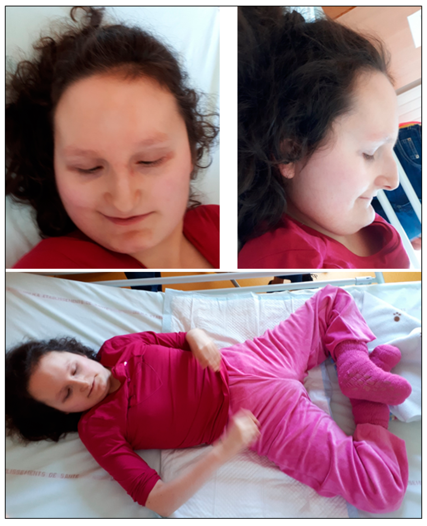 Brainsci 10 00788 g001