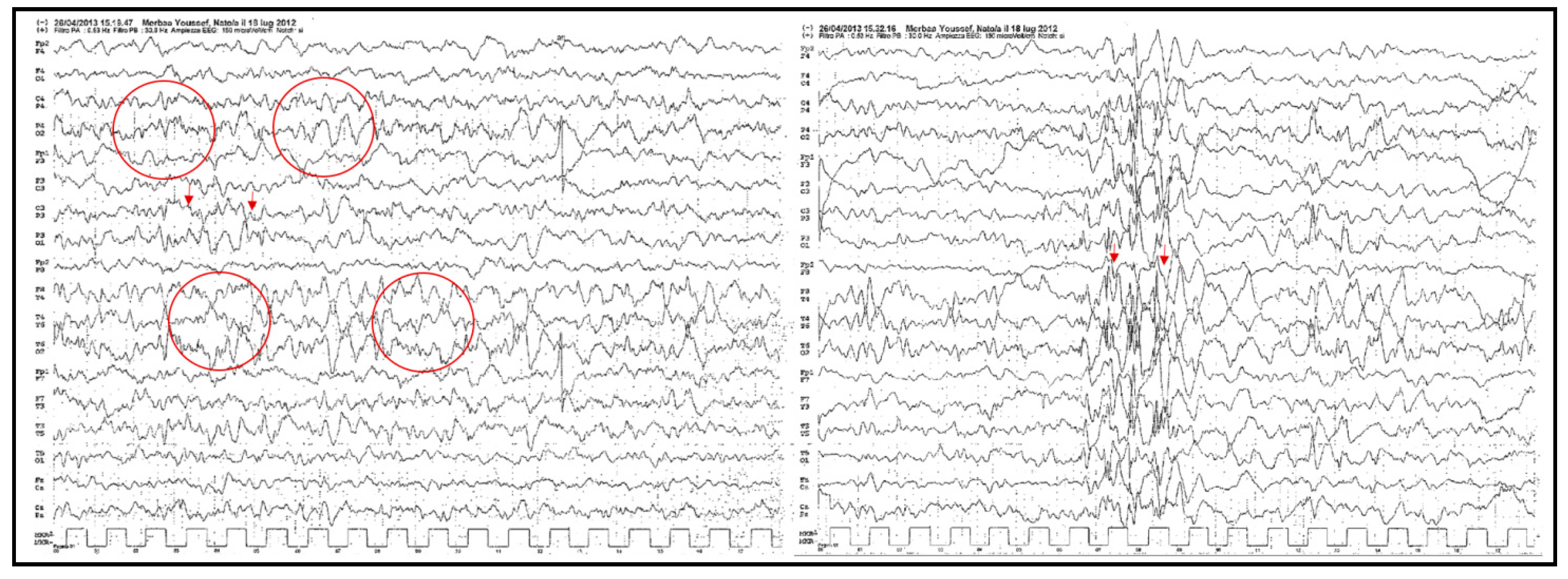 Brainsci 10 00788 g002