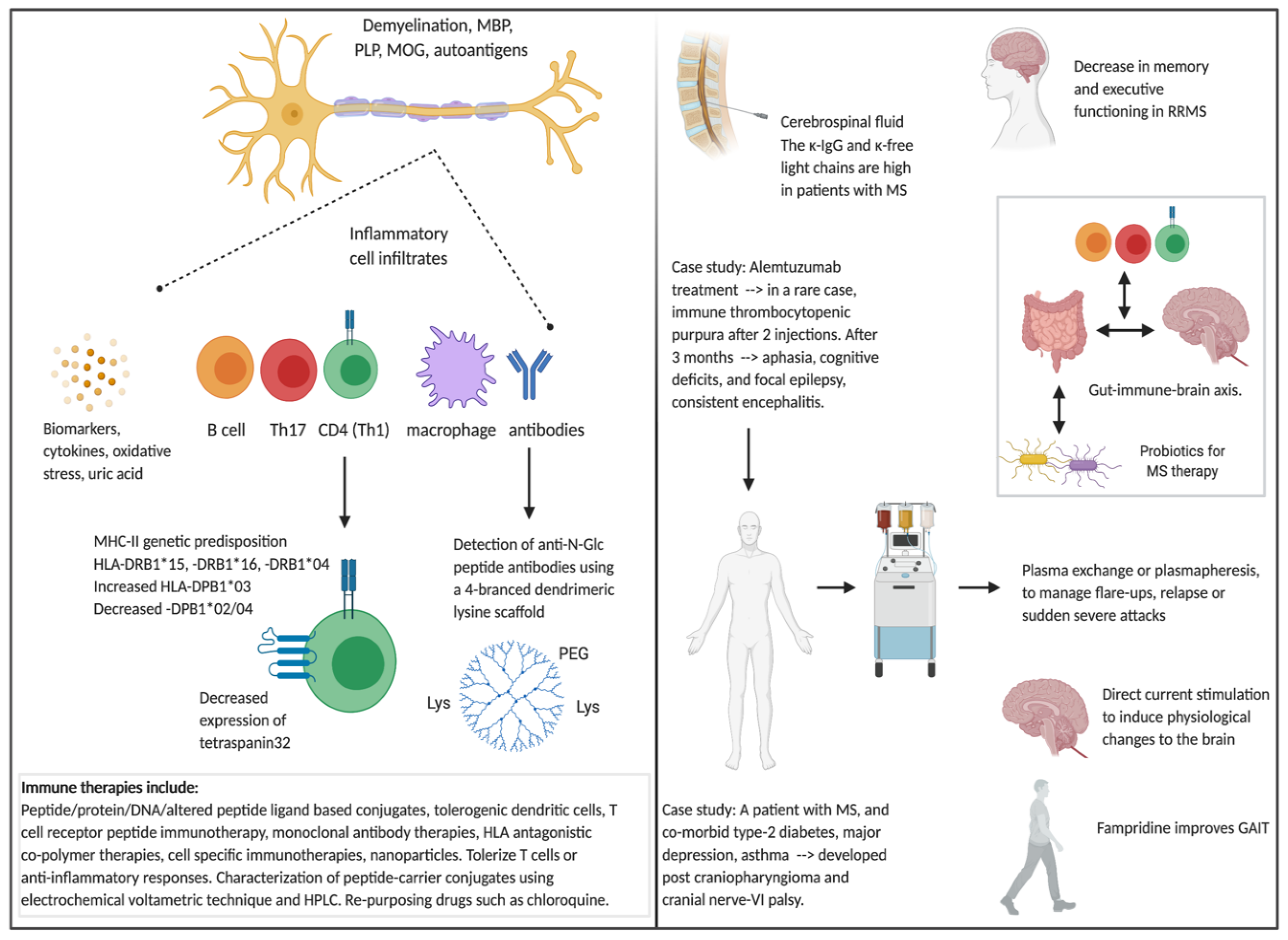 Brainsci 10 00795 g001 Brainsci 10 00795 g001