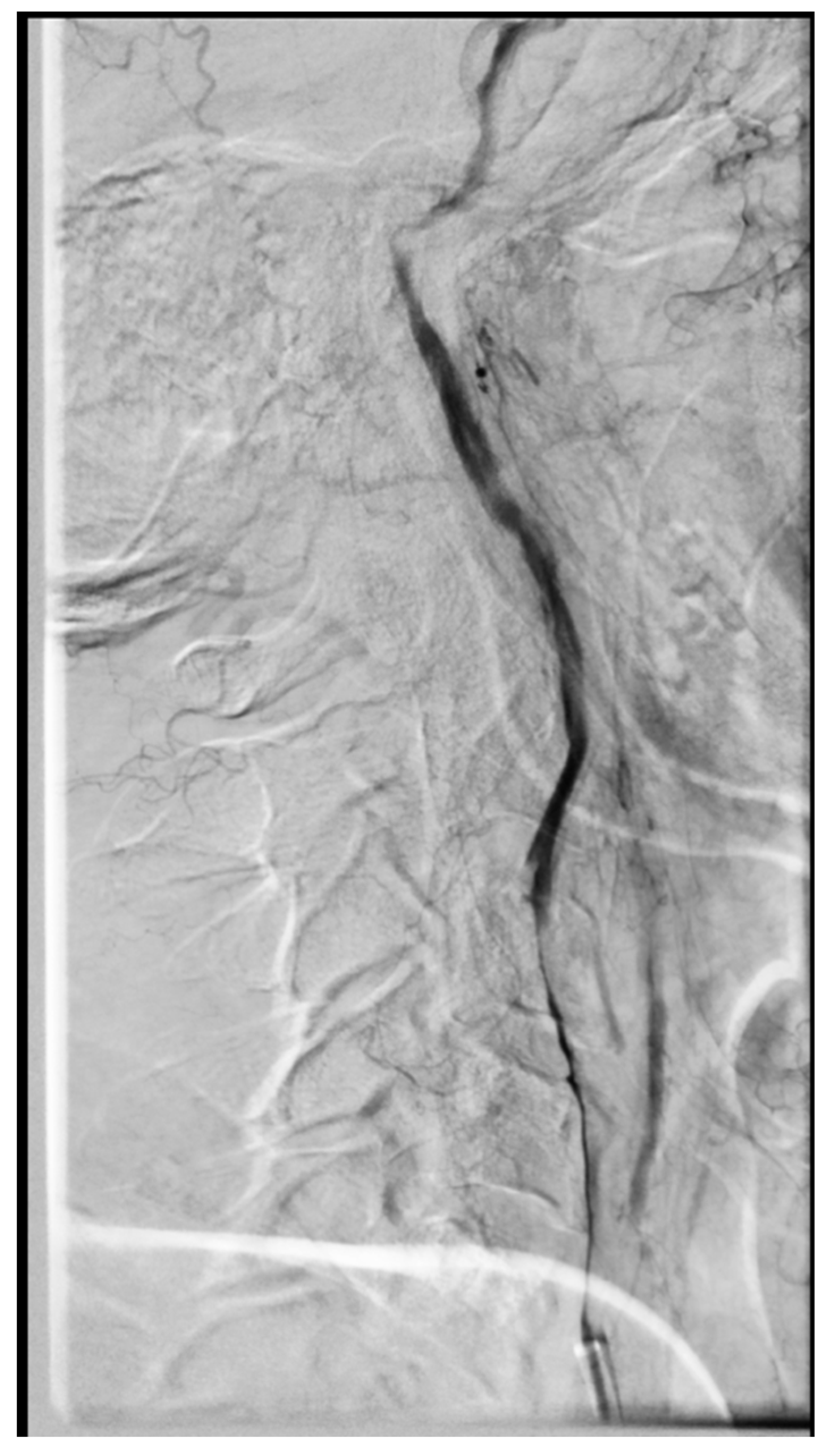 Brainsci 10 00800 g003 Brainsci 10 00800 g003