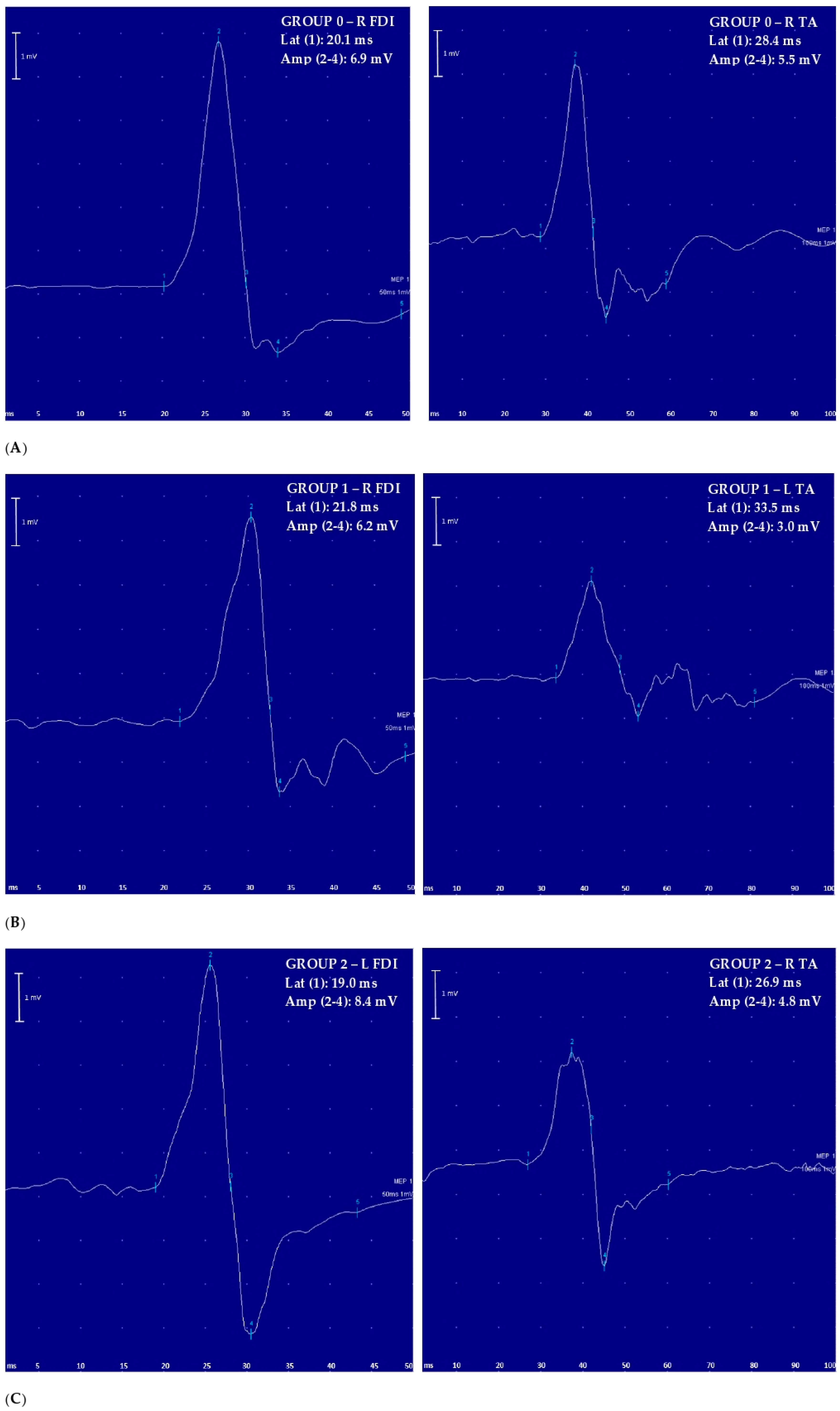 Brainsci 10 00806 g001