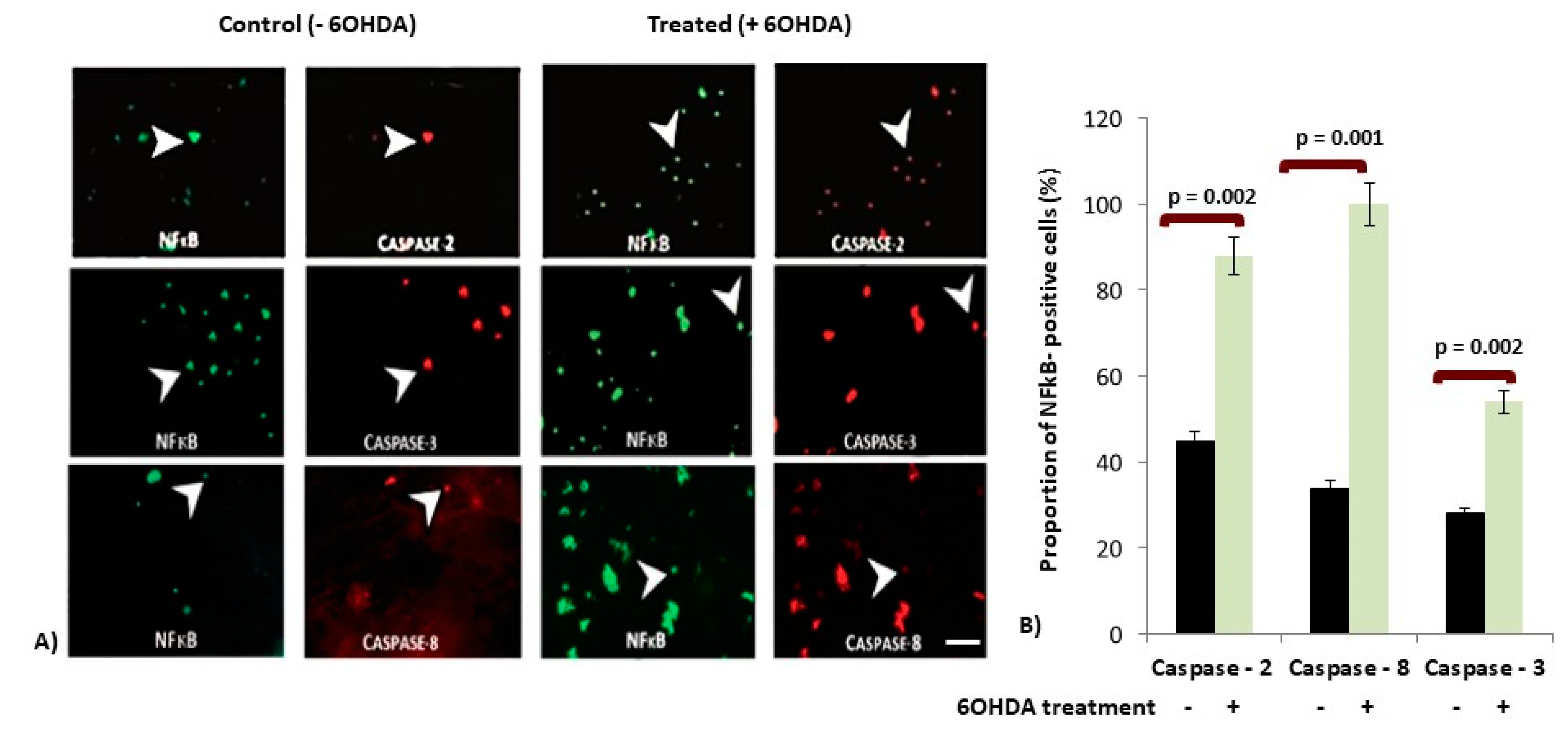 Brainsci 10 00807 g002 Brainsci 10 00807 g002