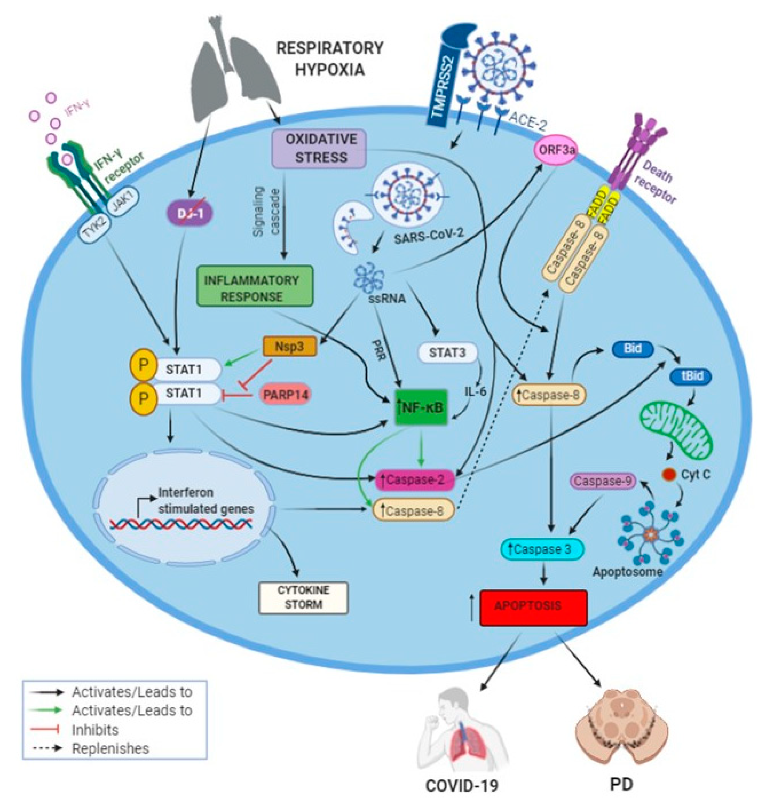 Brainsci 10 00807 g005 Brainsci 10 00807 g005