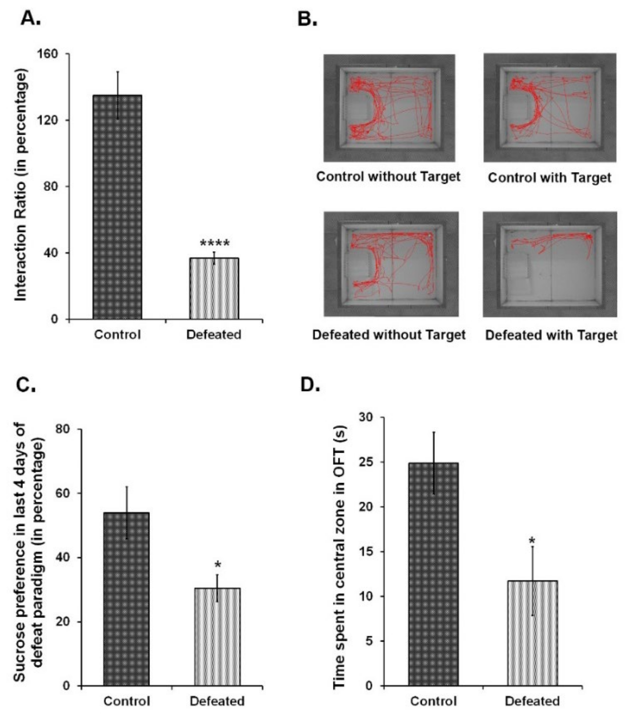 Brainsci 10 00833 g001