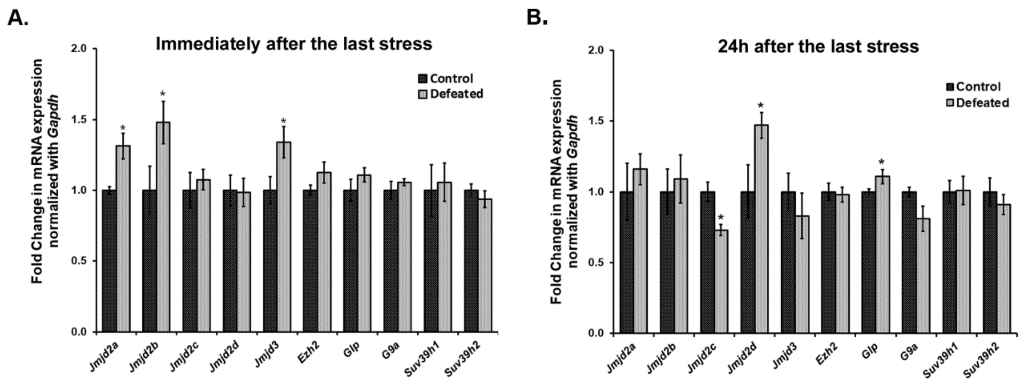 Brainsci 10 00833 g003