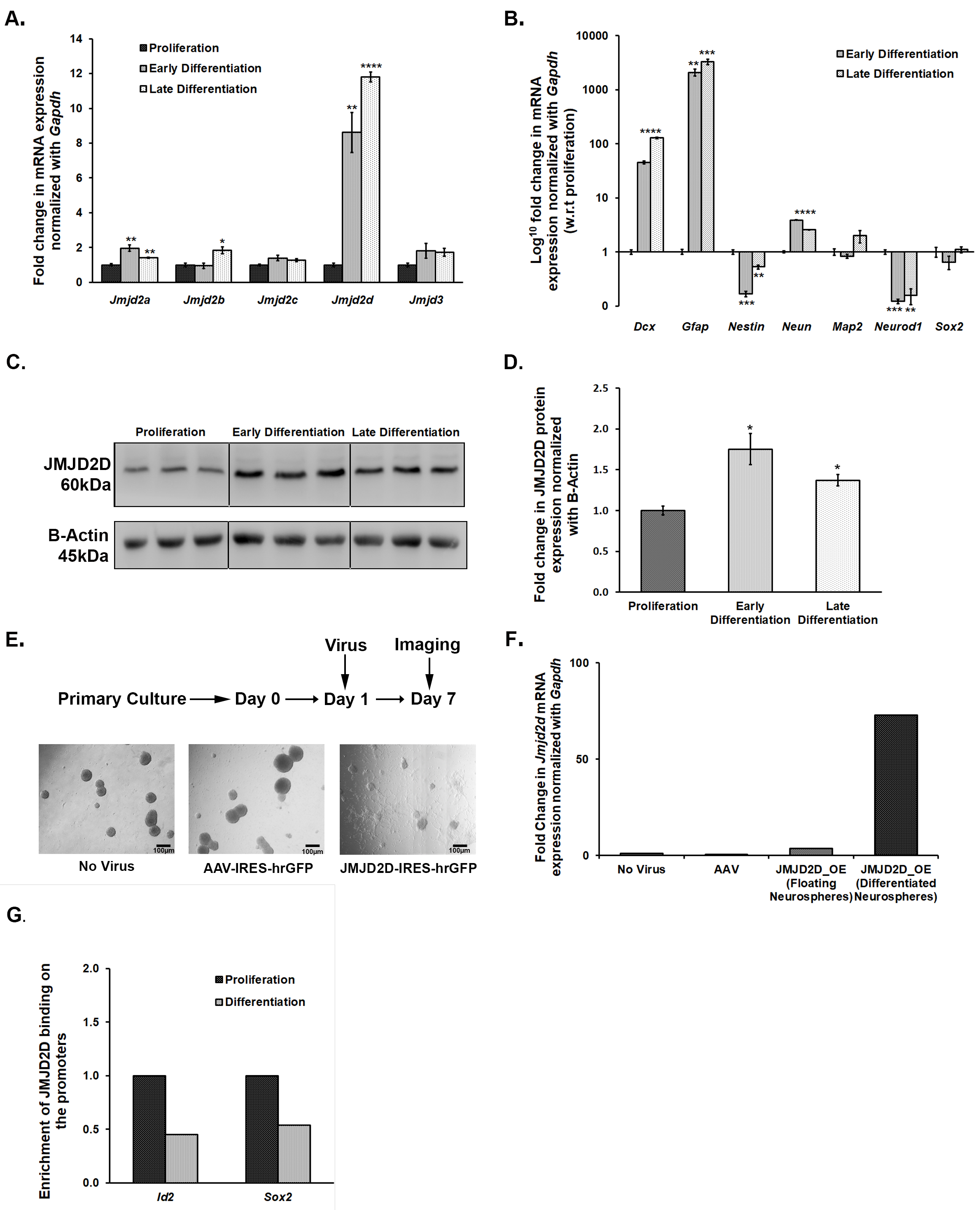 Brainsci 10 00833 g005
