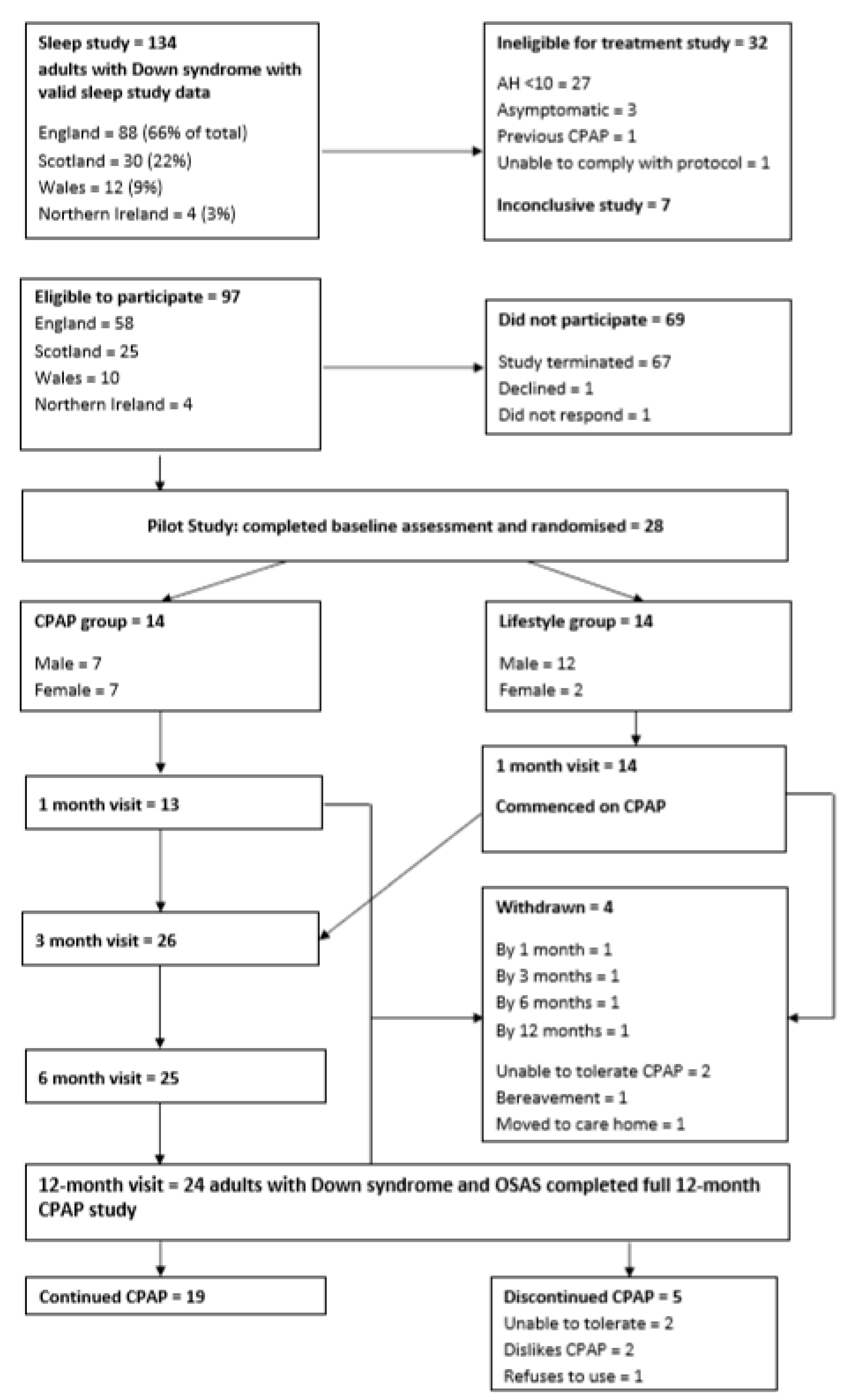 Brainsci 10 00844 g002