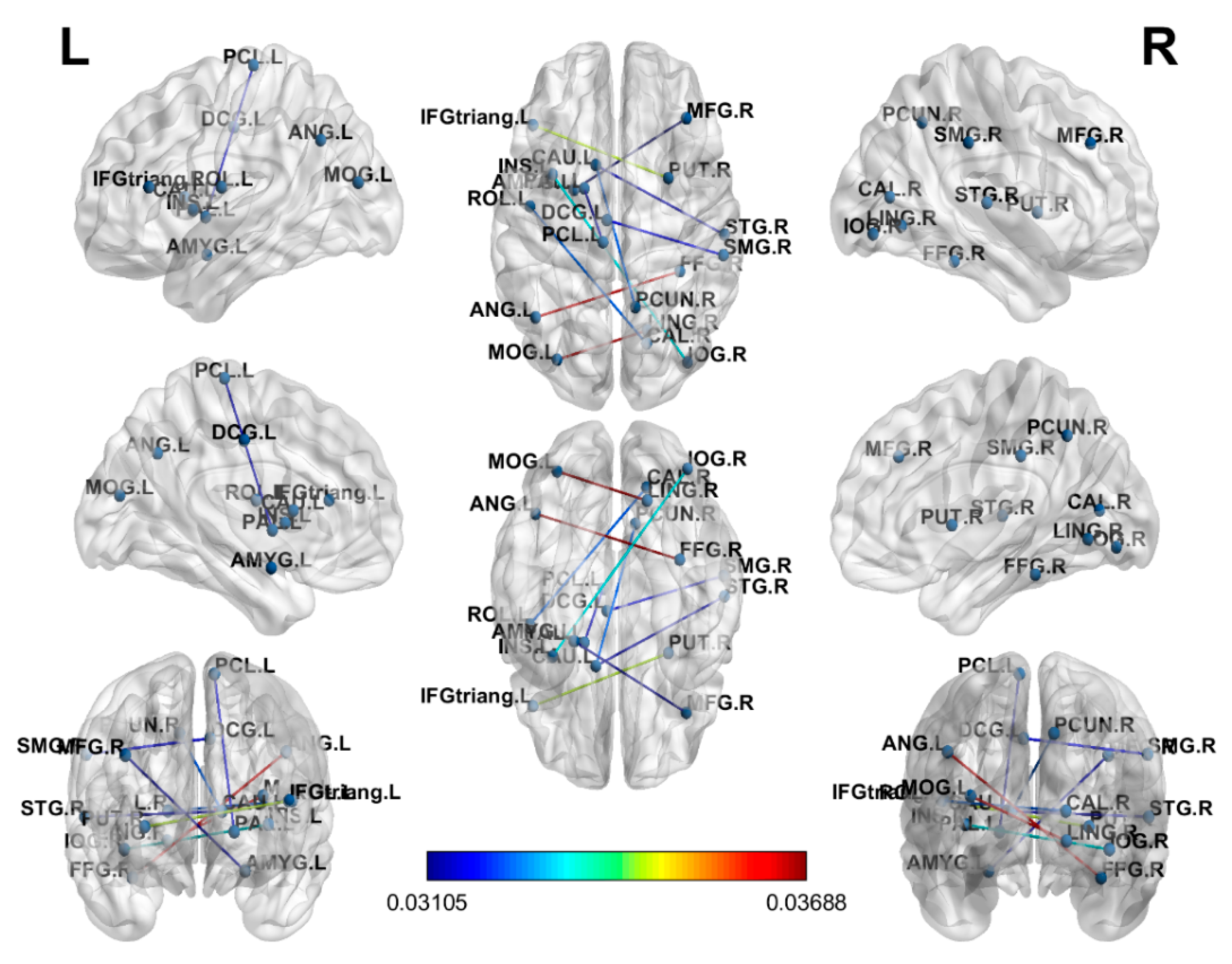 Brainsci 10 00851 g002