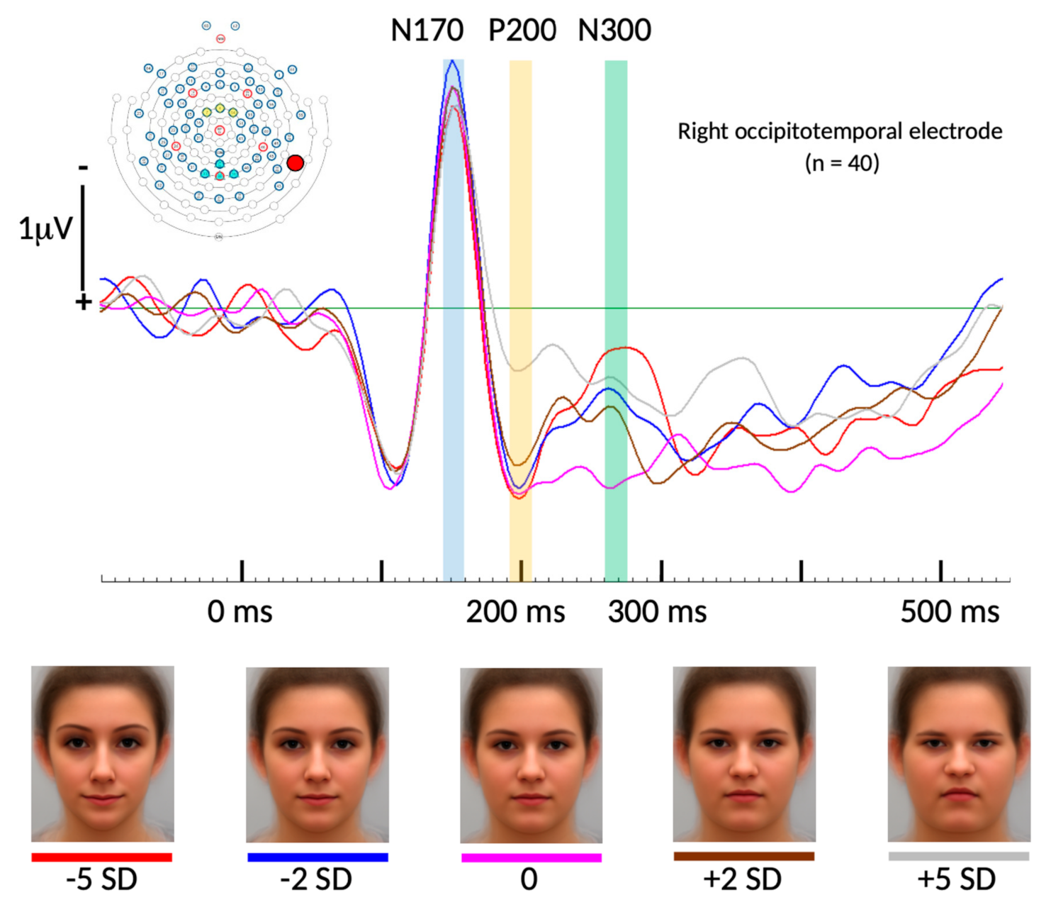Brainsci 10 00861 g002