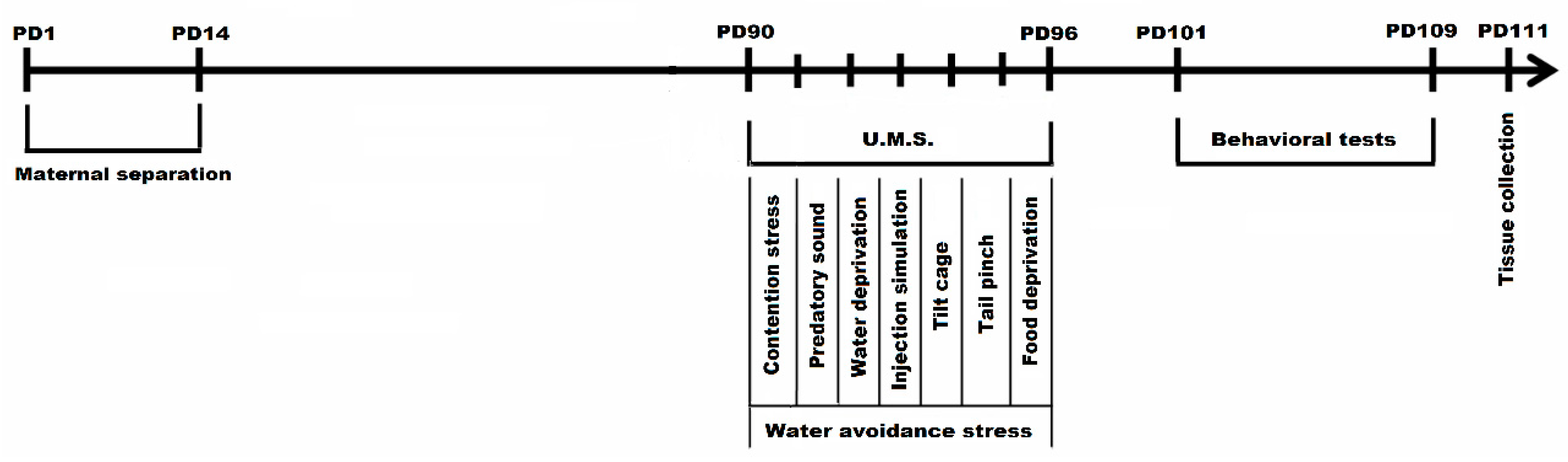 Brainsci 10 00865 g001
