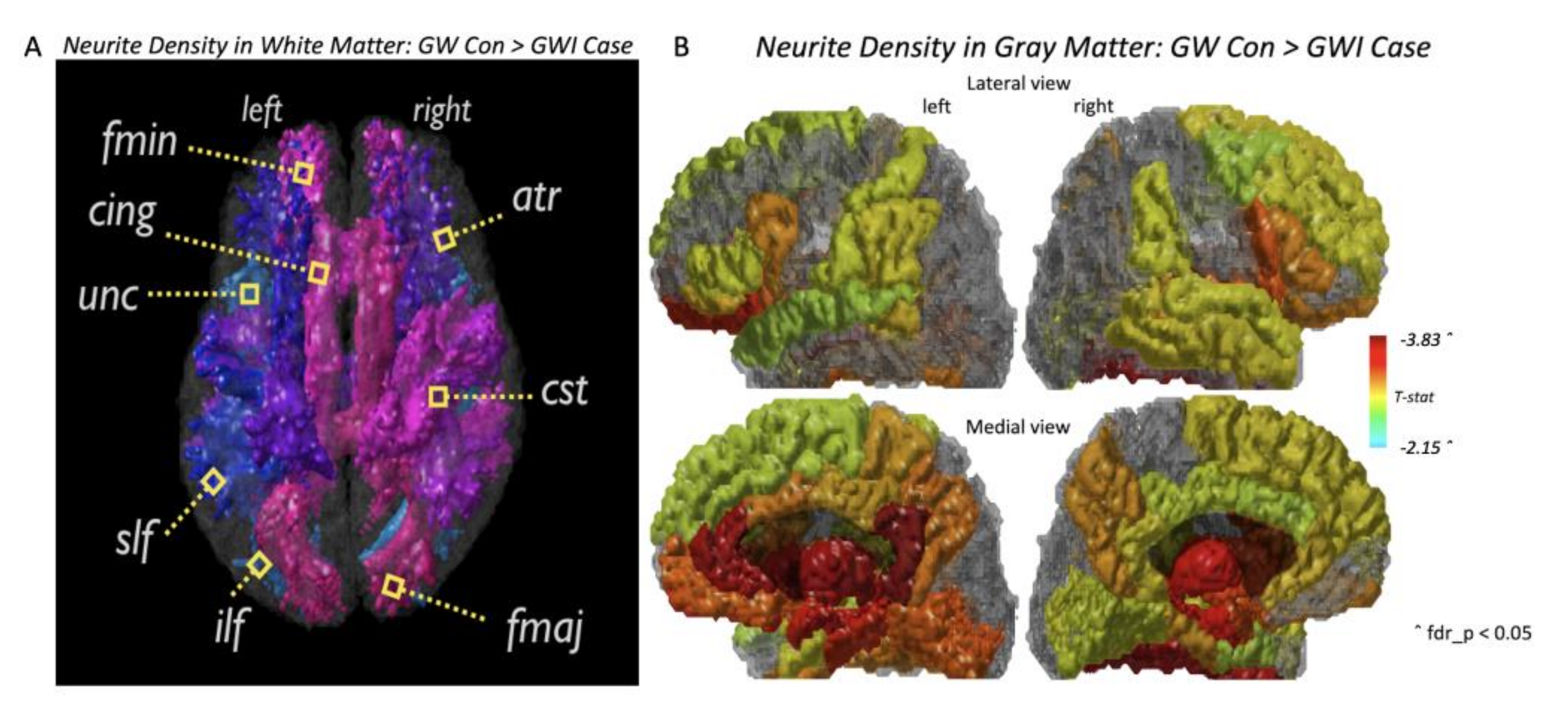 Brainsci 10 00884 g001