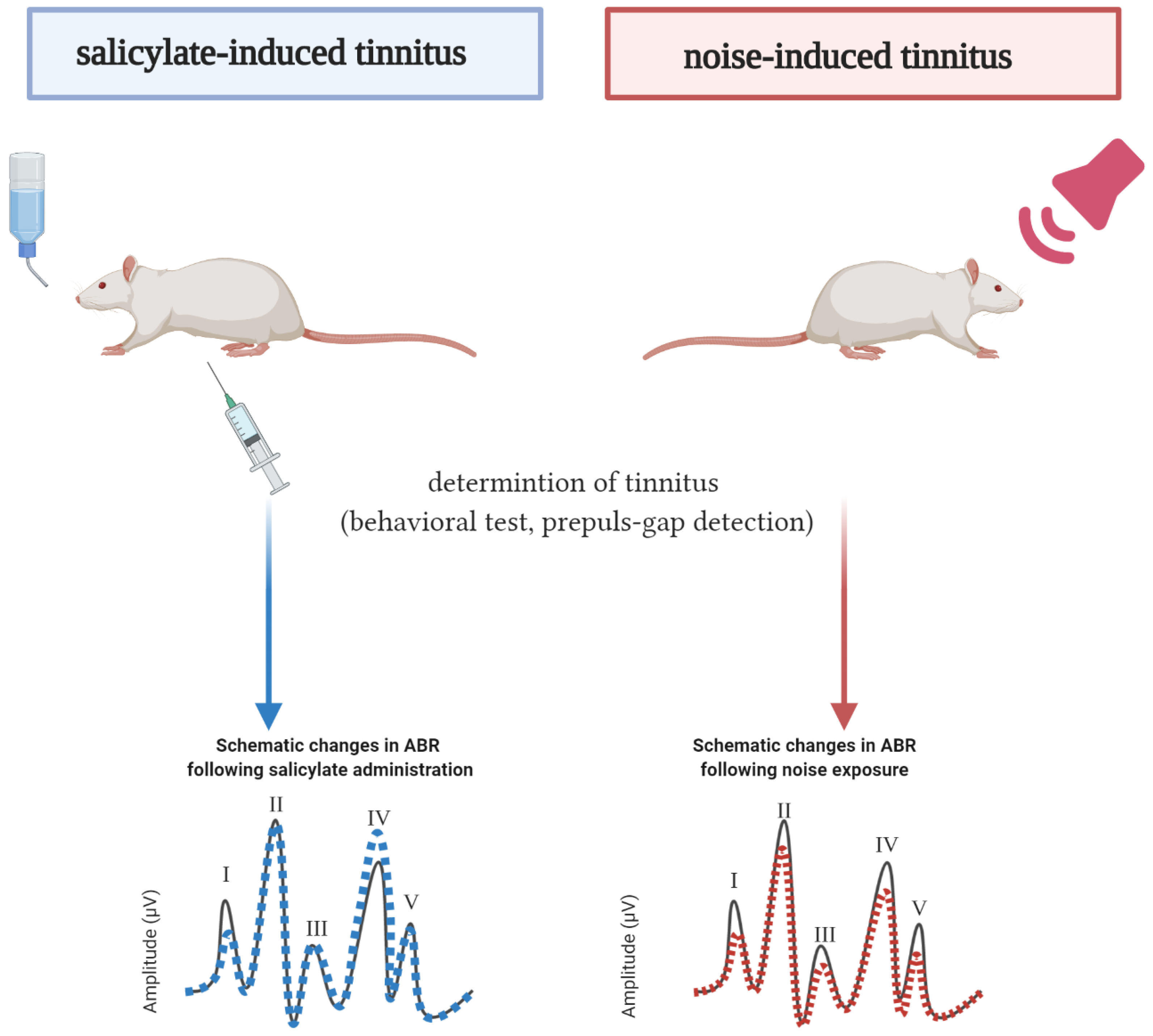 Brainsci 10 00901 g004