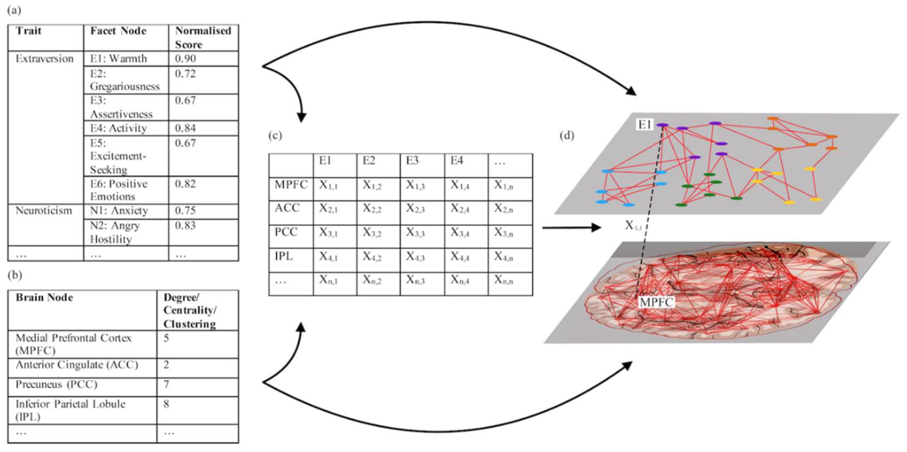 Brainsci 10 00915 g003
