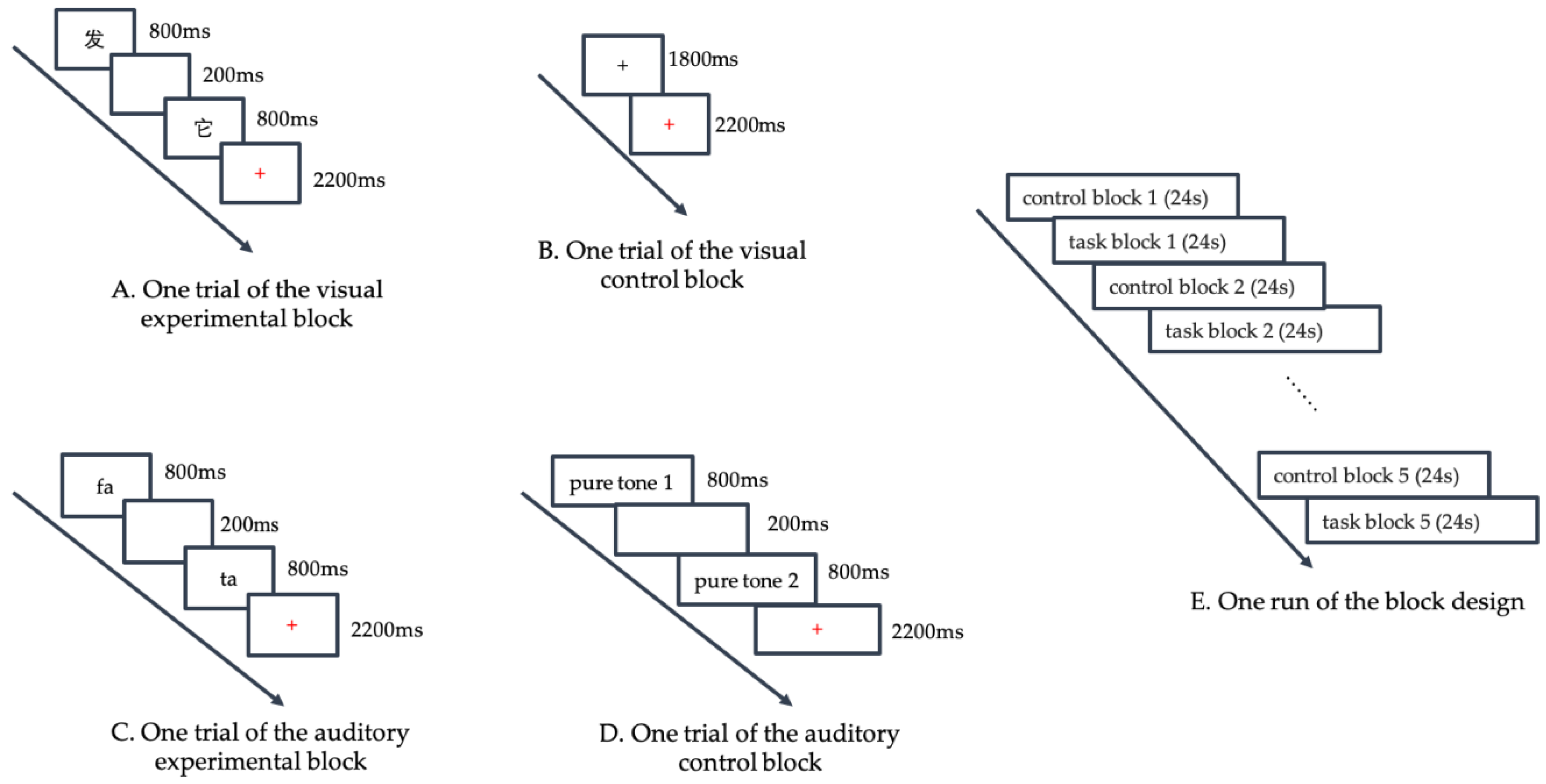 Brainsci 10 00936 g001