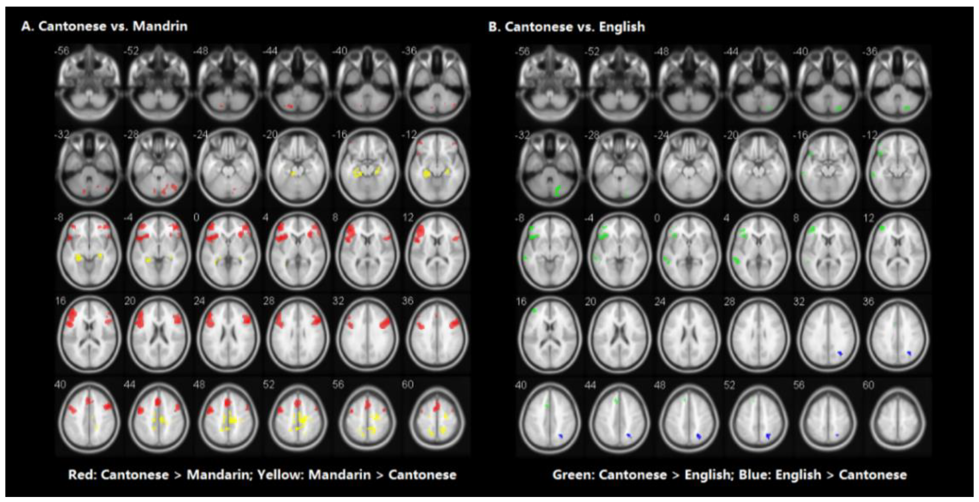 Brainsci 10 00936 g003