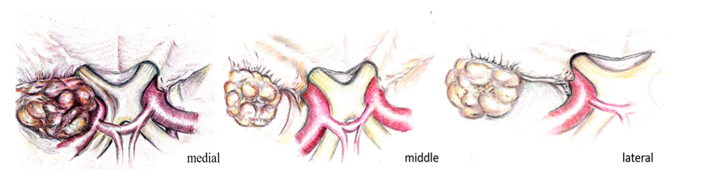 Brainsci 10 00957 g001