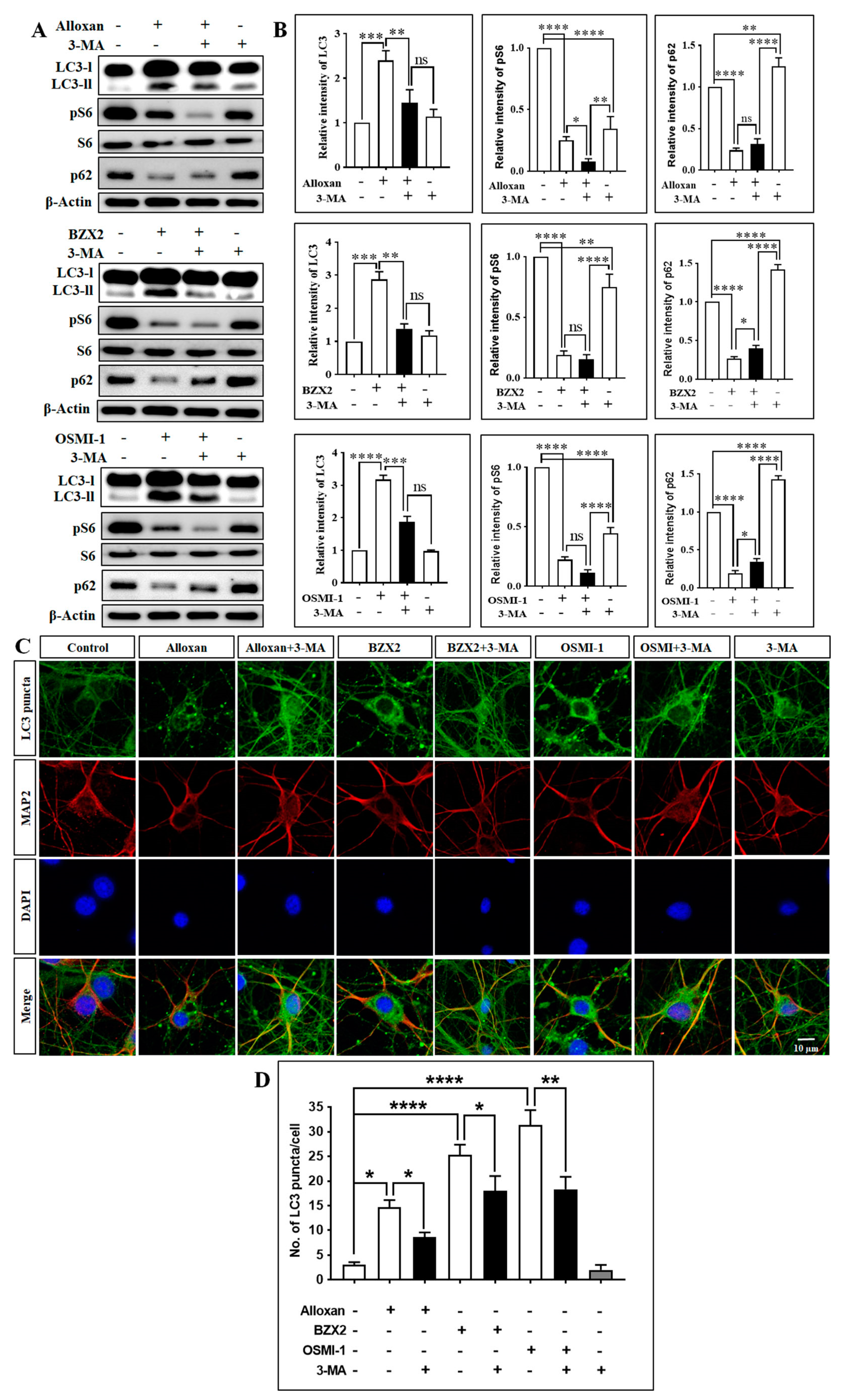 Brainsci 10 00958 g003
