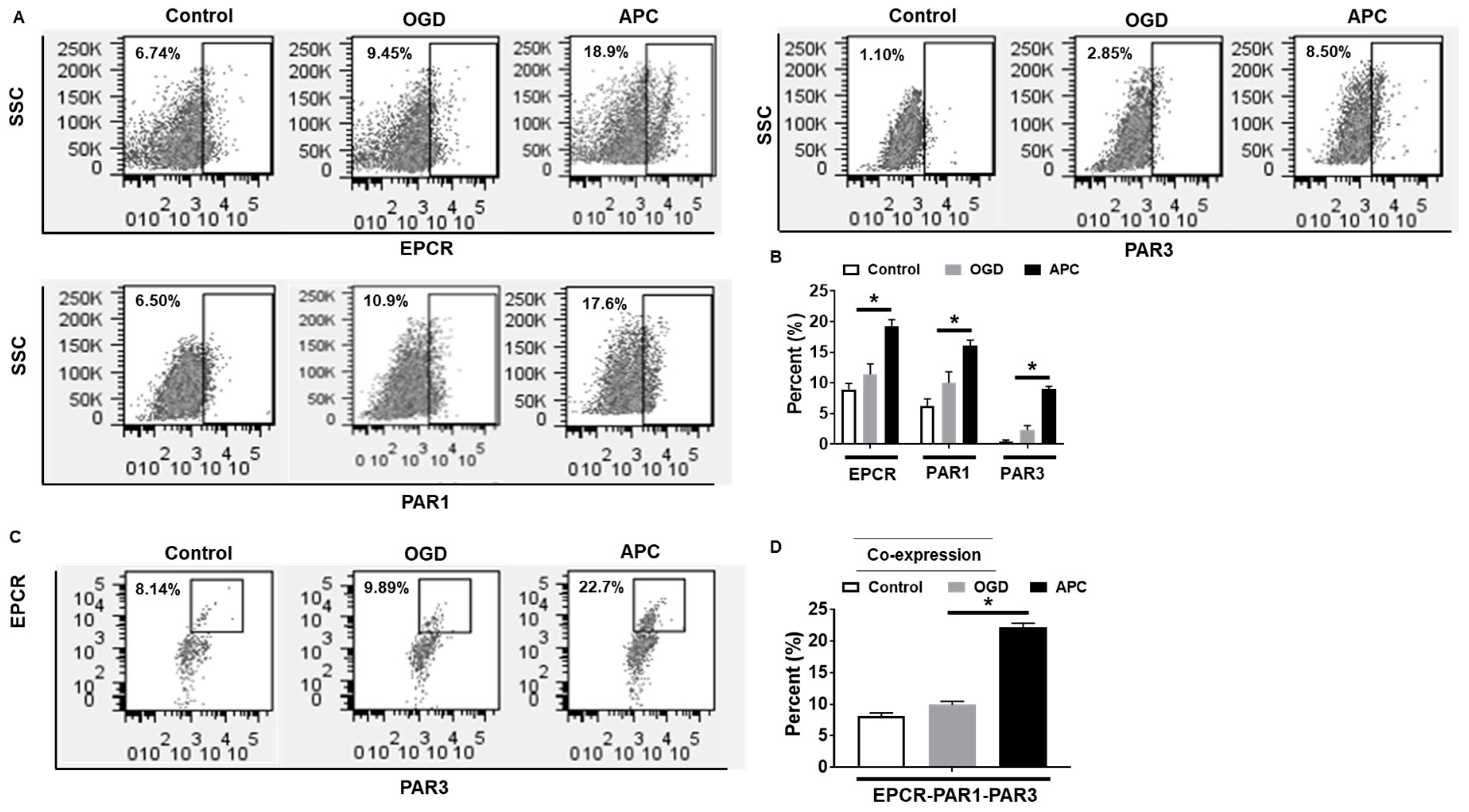 Brainsci 10 00959 g003 Brainsci 10 00959 g003