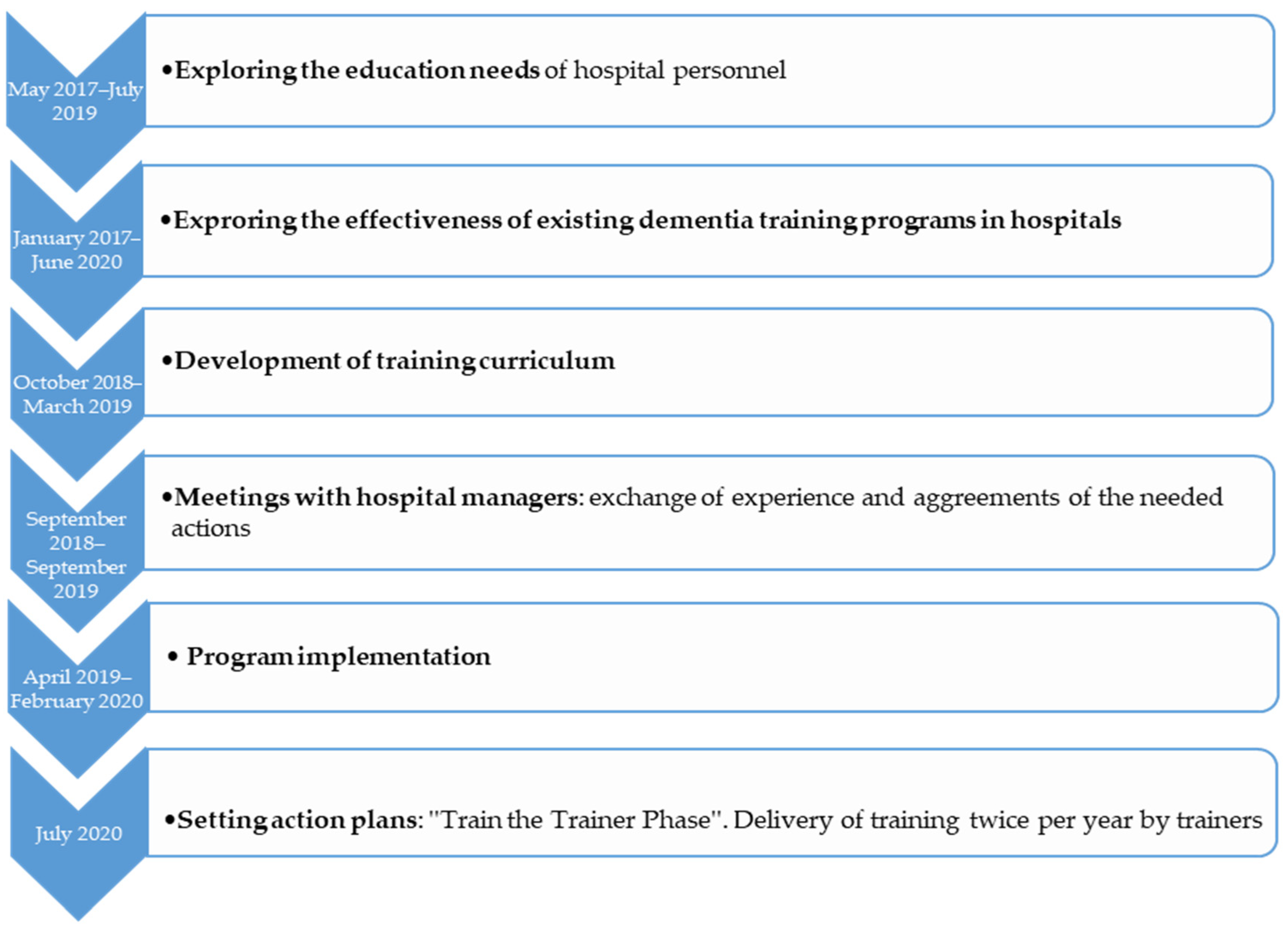 Brainsci 10 00976 g001