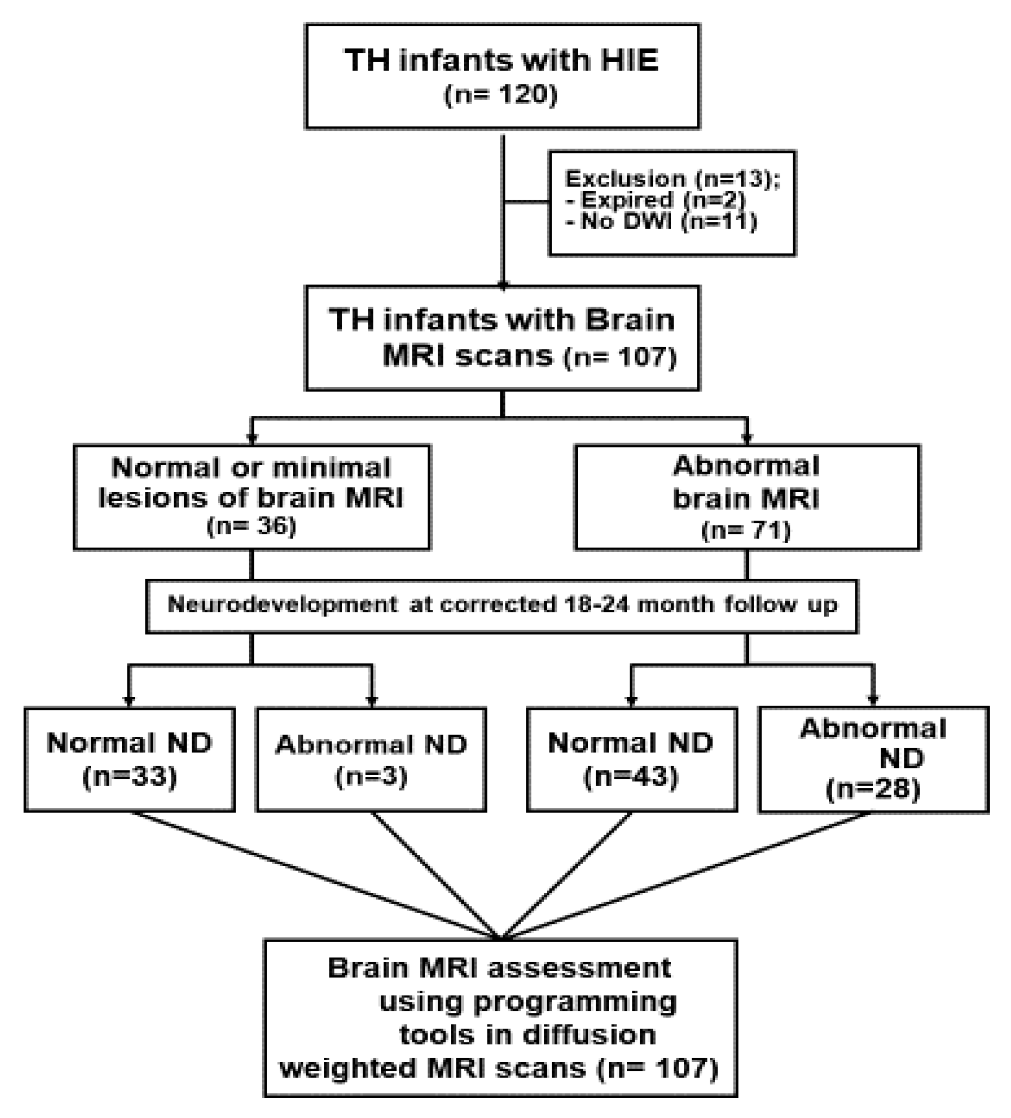 Brainsci 10 00991 g001
