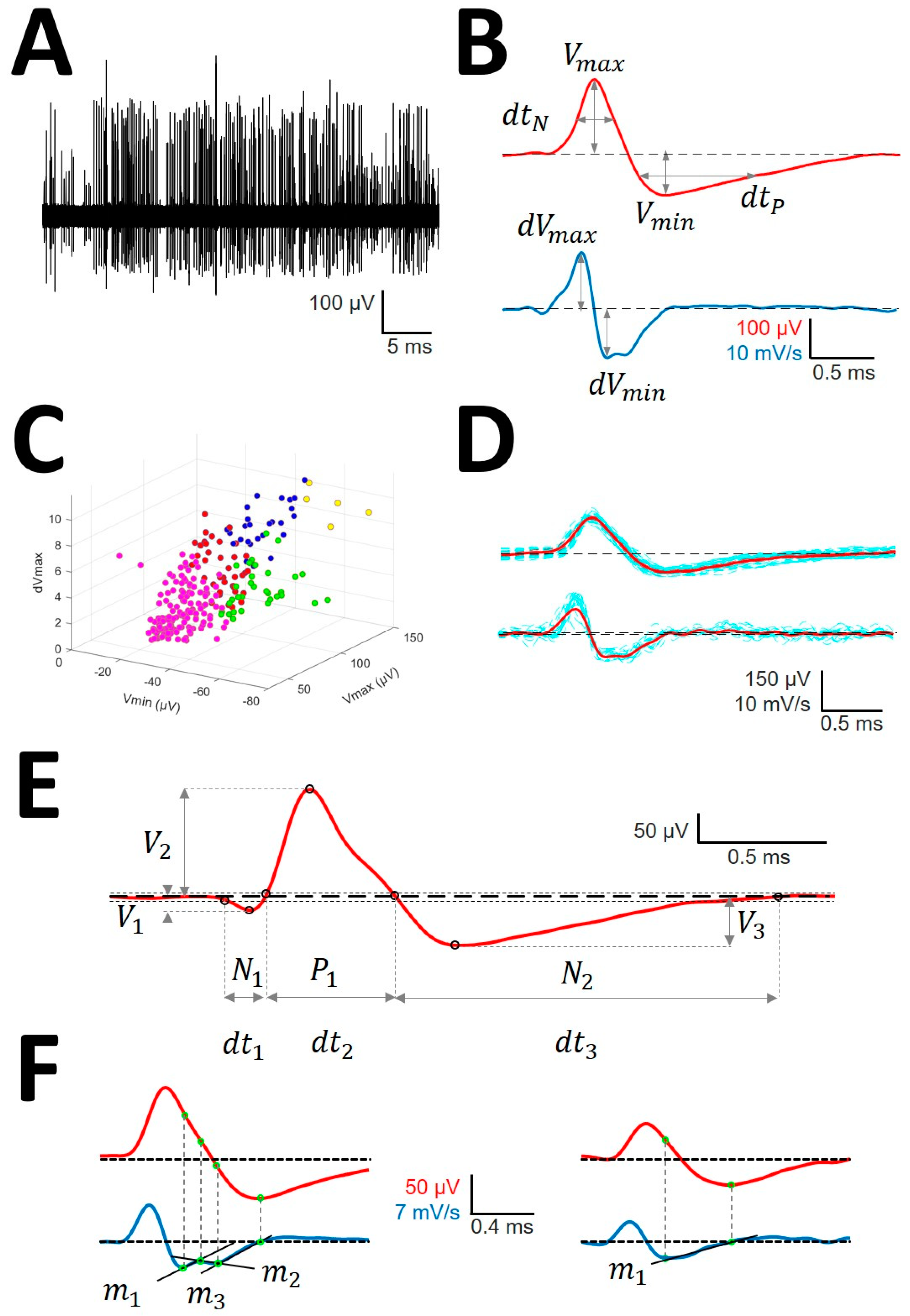 Brainsci 10 01002 g001