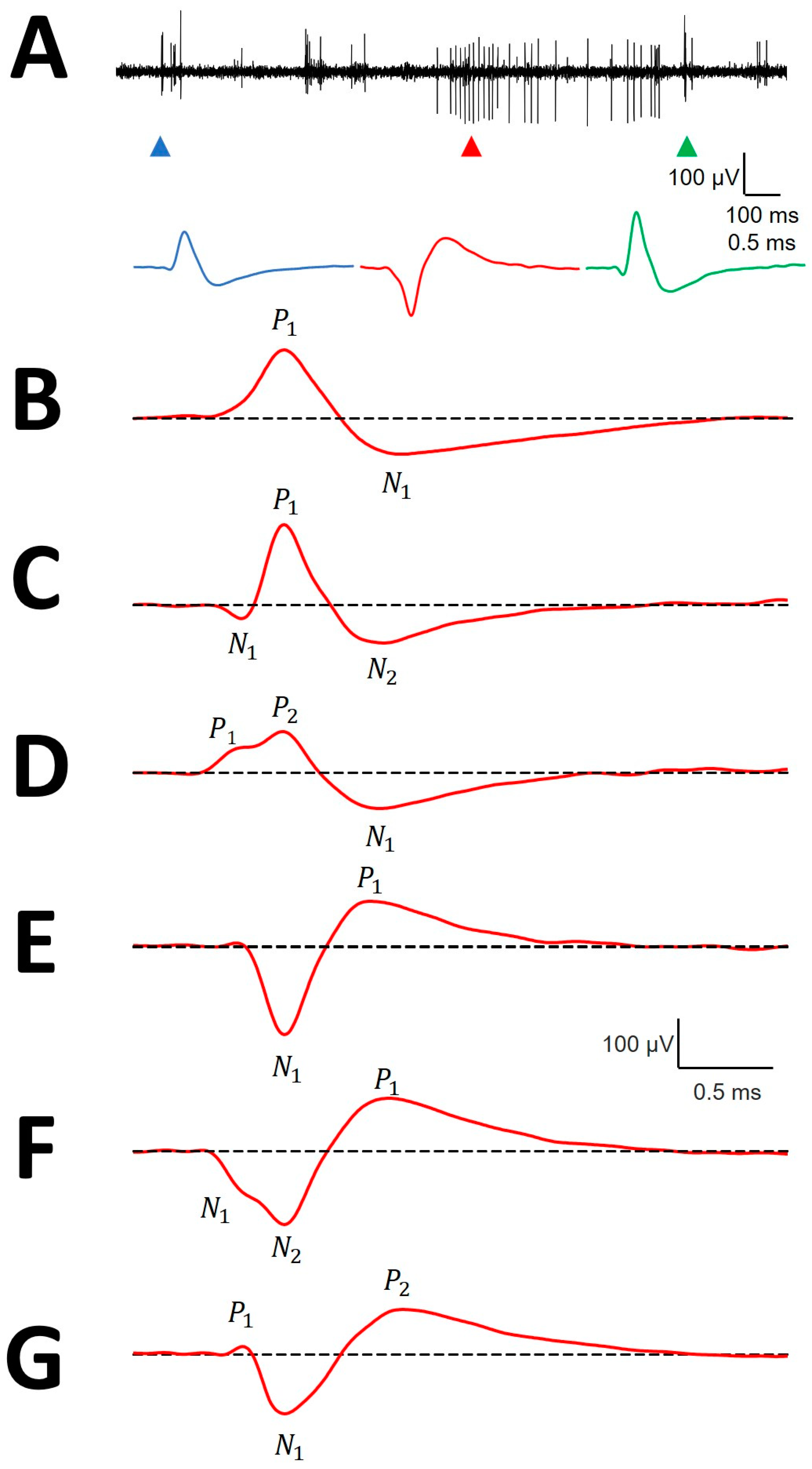 Brainsci 10 01002 g002