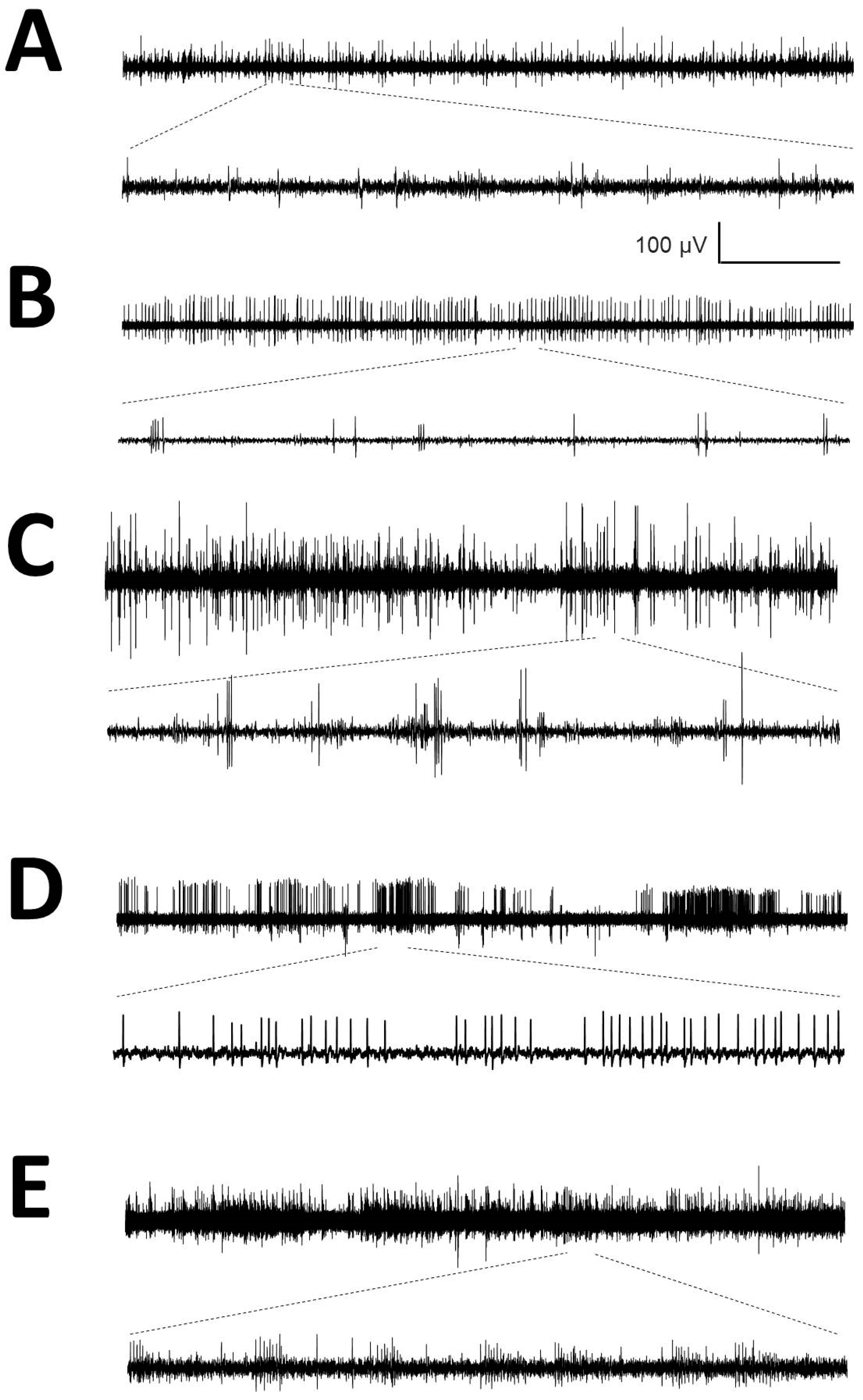 Brainsci 10 01002 g0a1