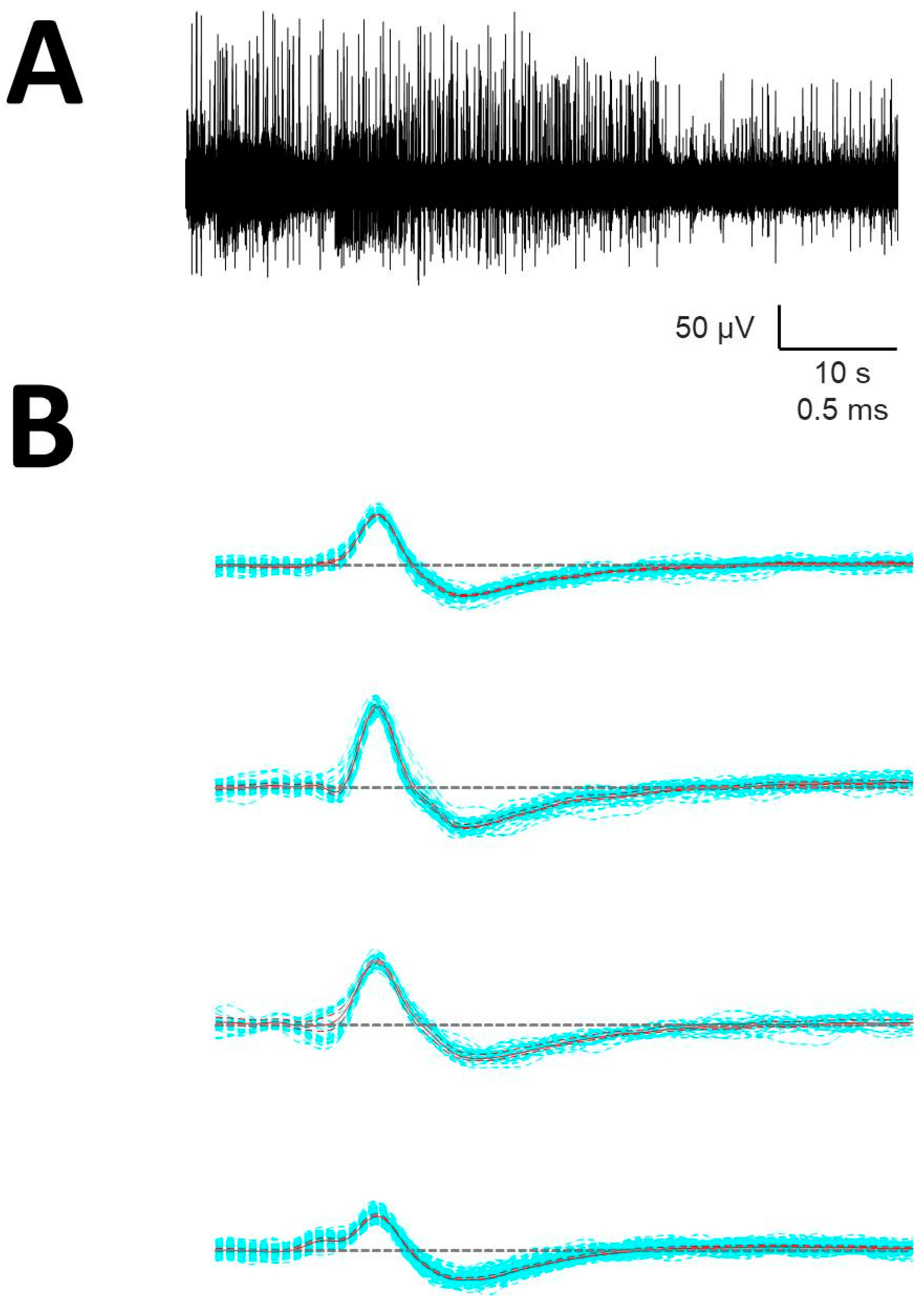 Brainsci 10 01002 g0a2