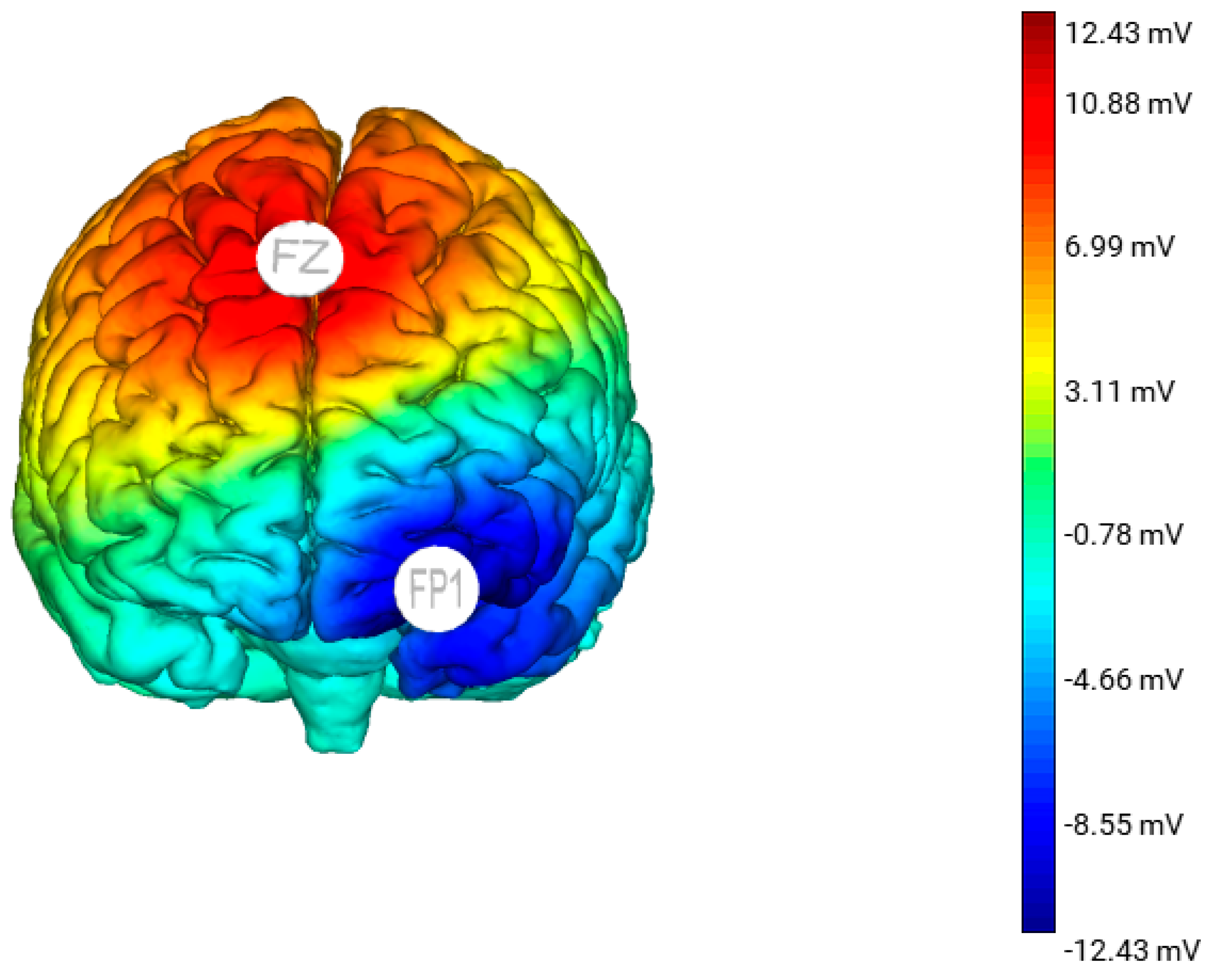 Brainsci 10 01008 g001 Brainsci 10 01008 g001