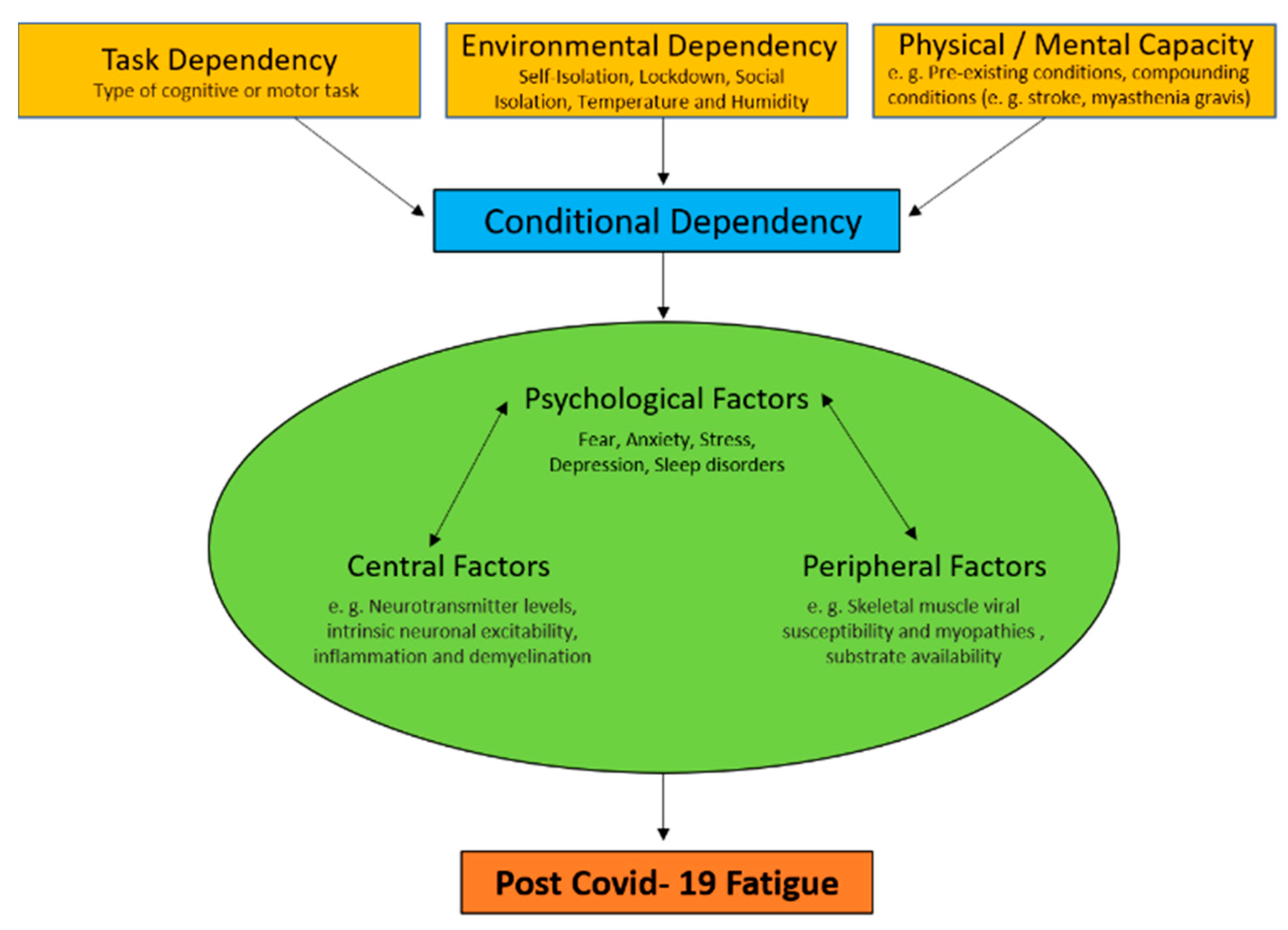 Brainsci 10 01012 g001