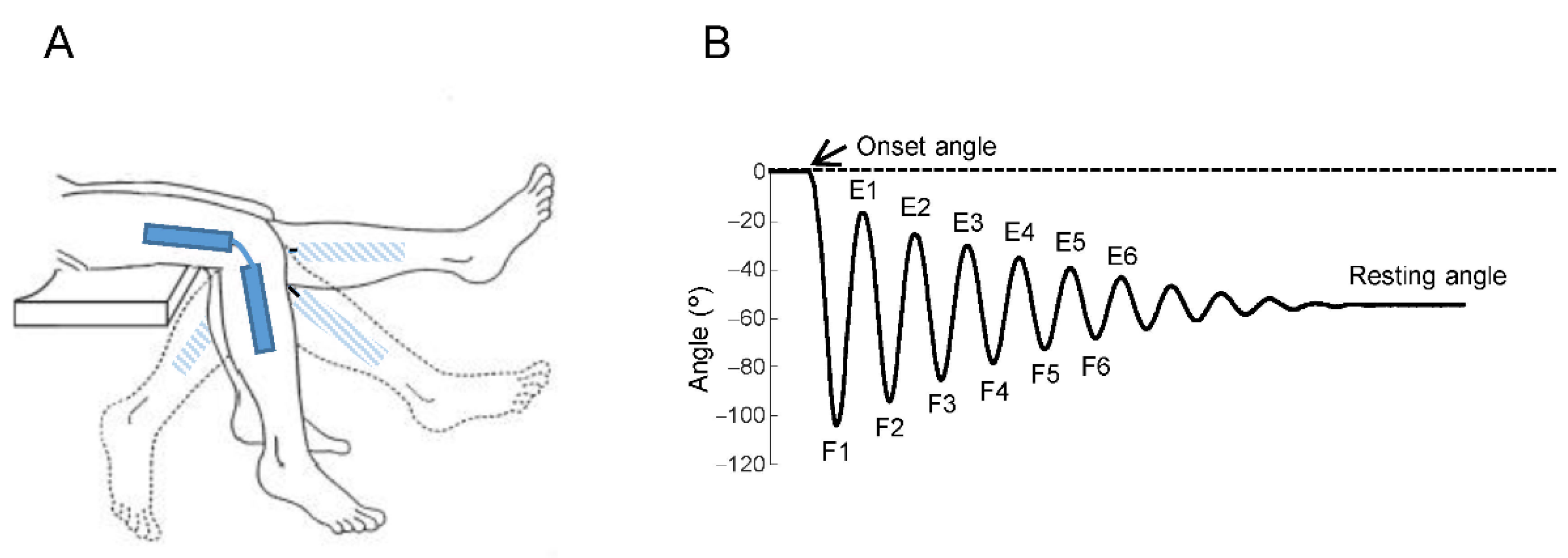 Brainsci 11 00007 g001