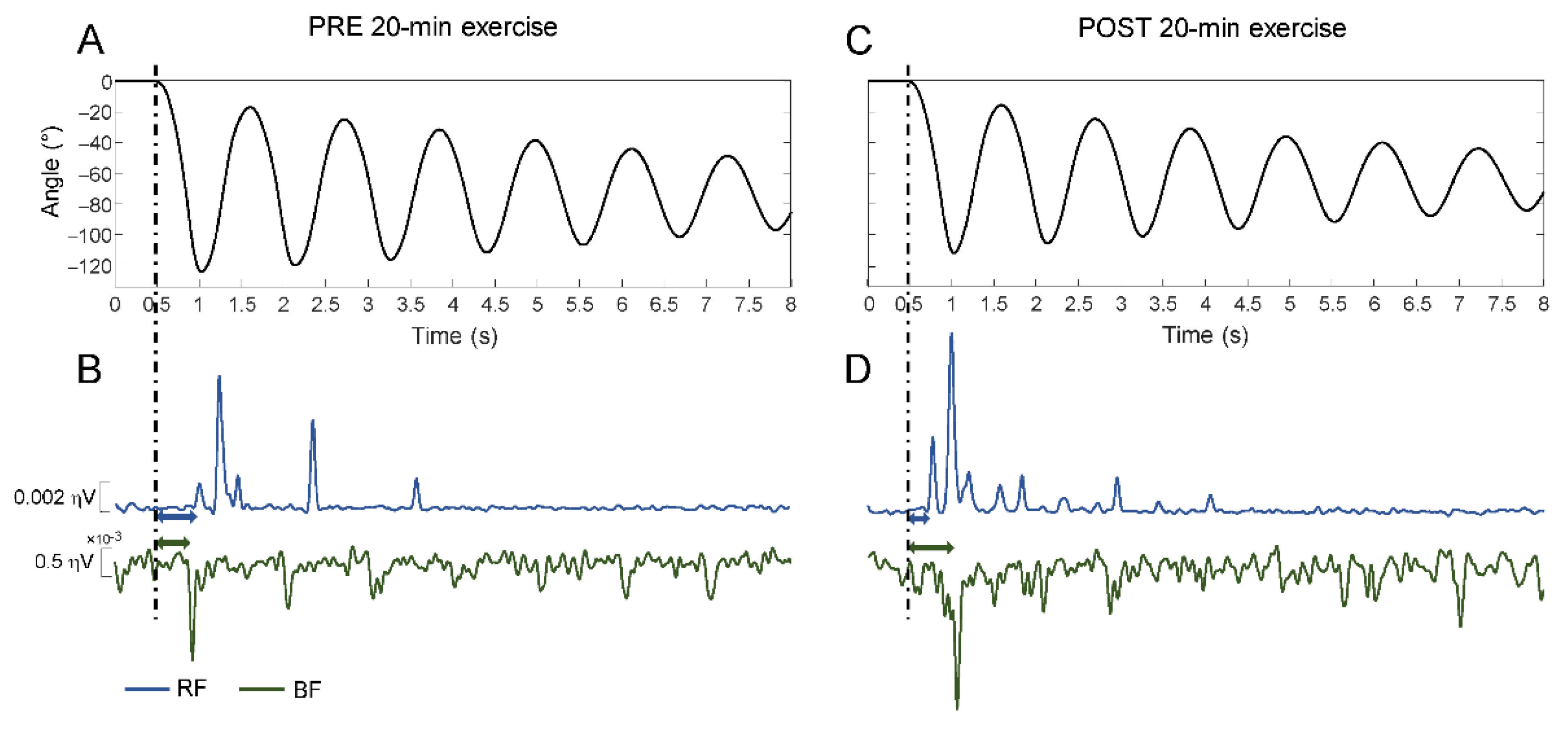 Brainsci 11 00007 g002
