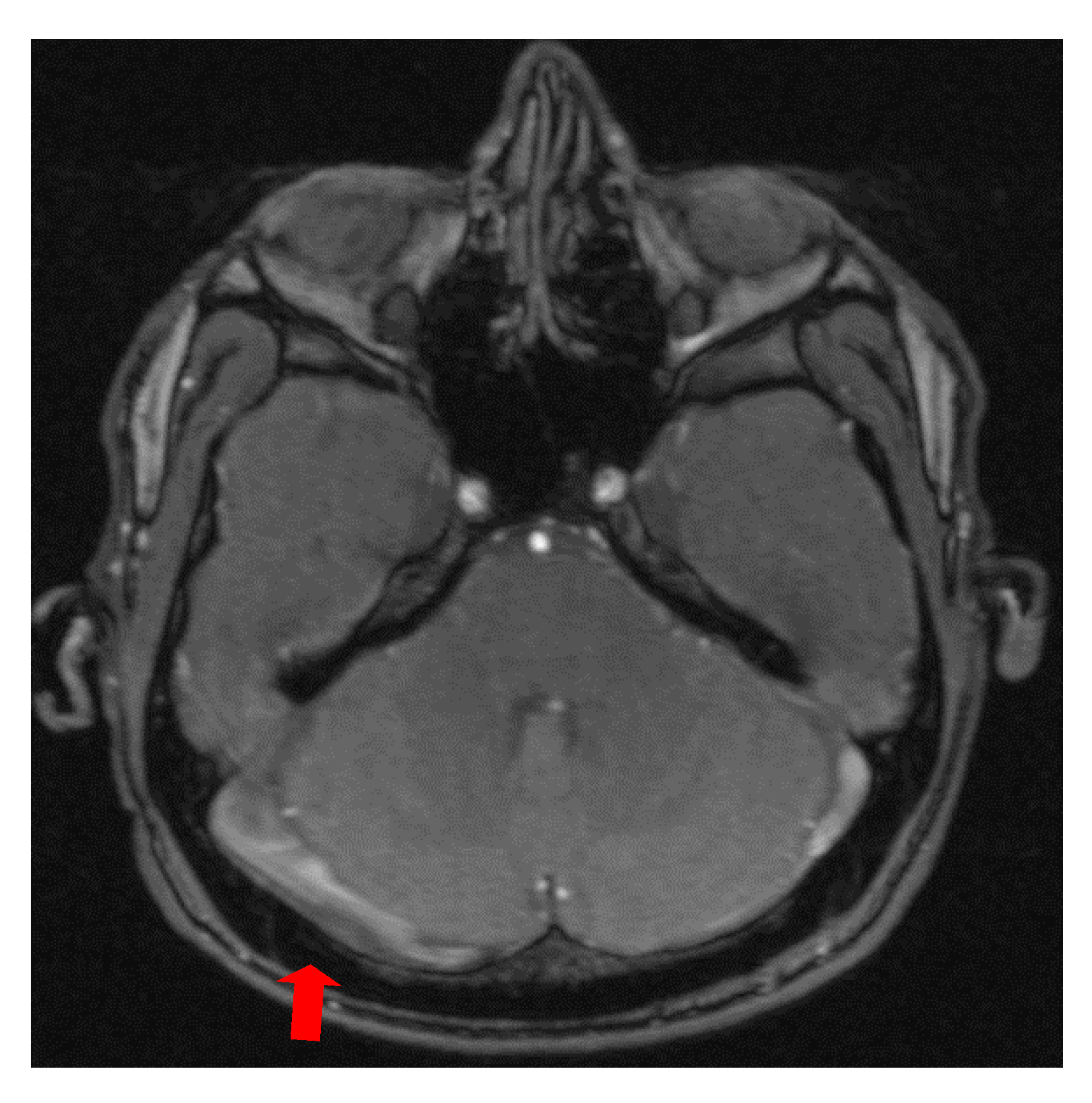 Brainsci 11 00023 g004
