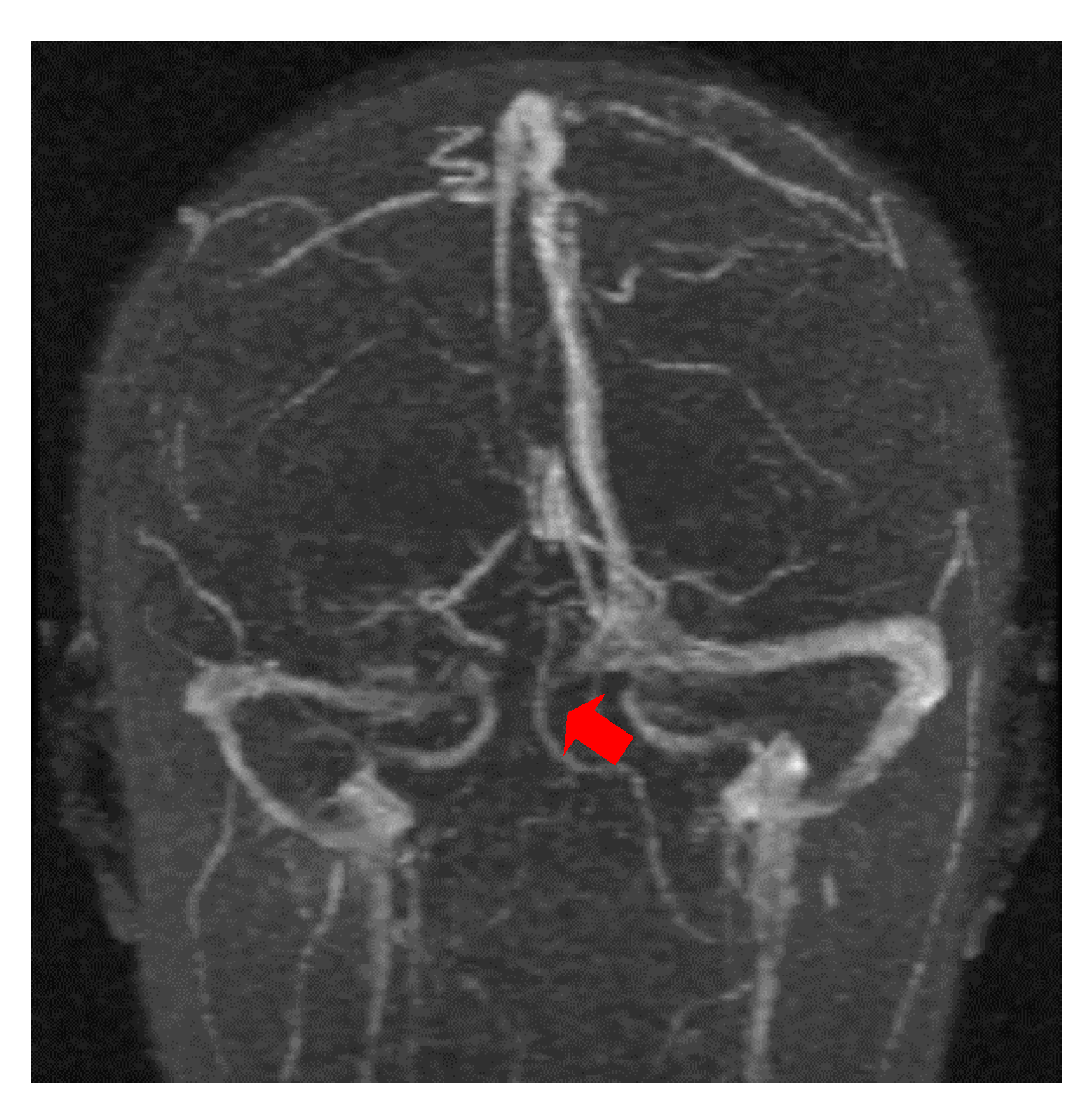 Brainsci 11 00023 g005