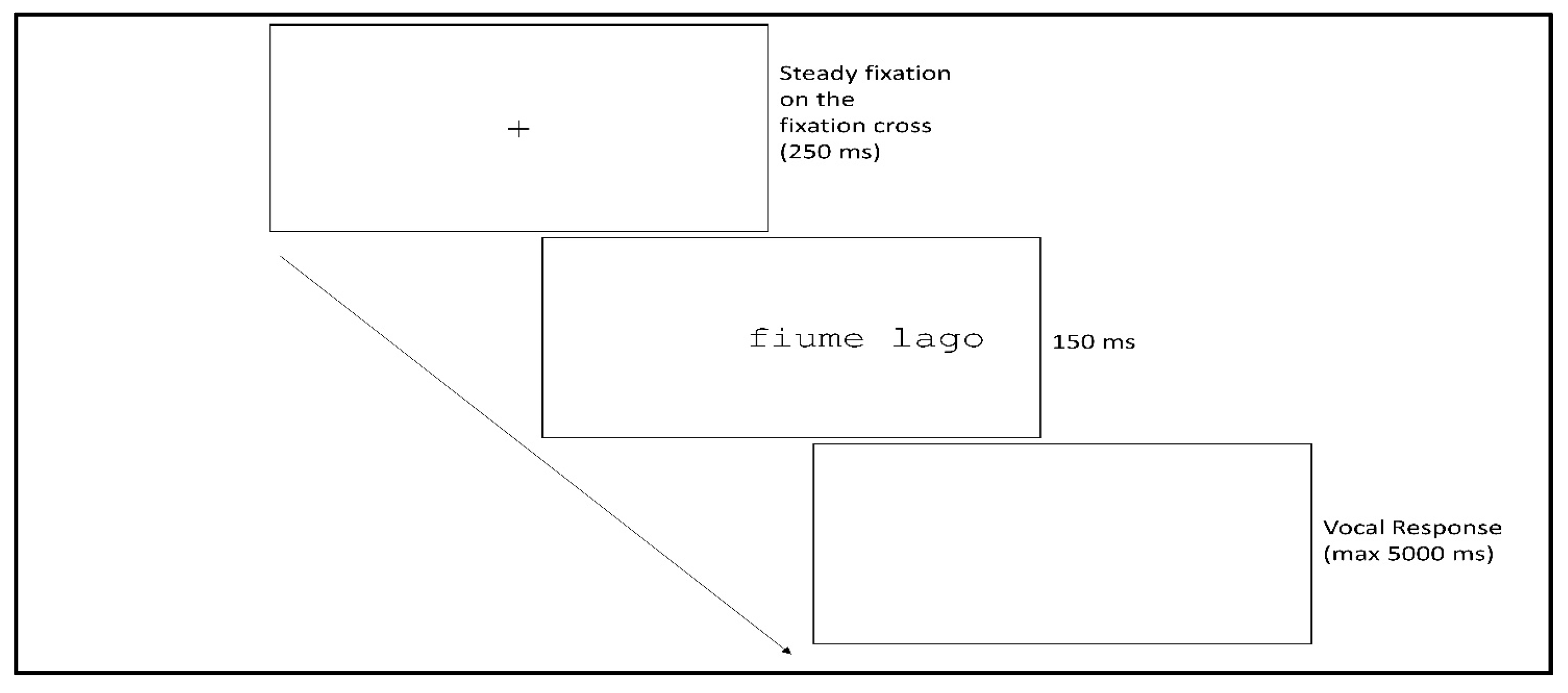 Brainsci 11 00028 g001