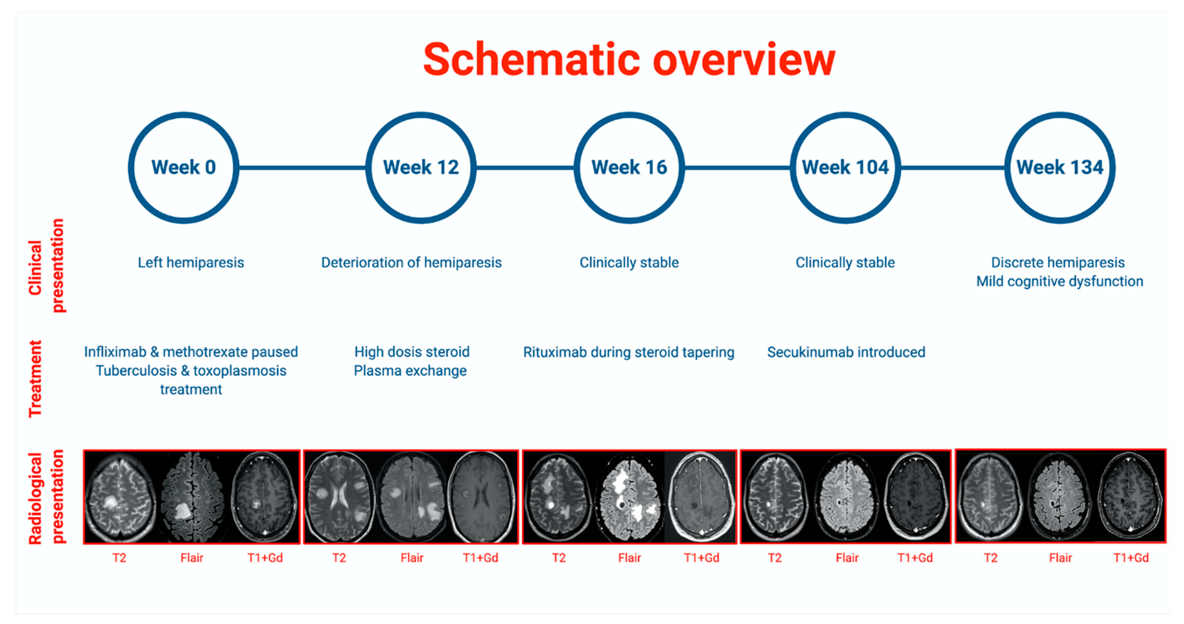 Brainsci 11 00038 g001