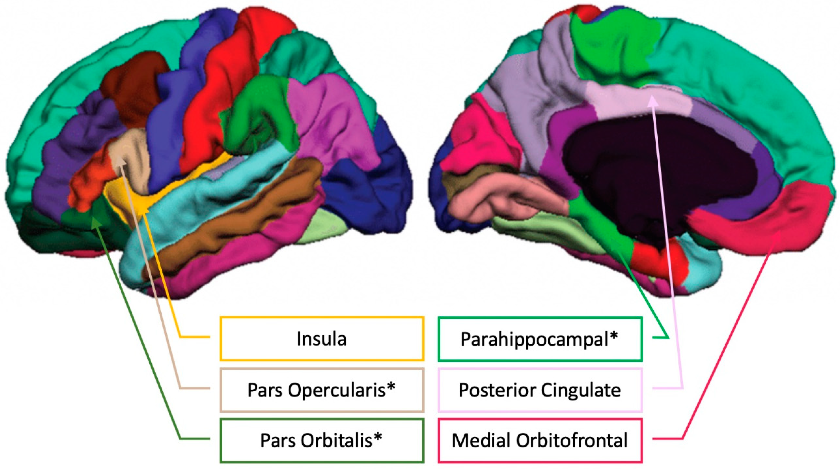 Brainsci 11 00050 g005