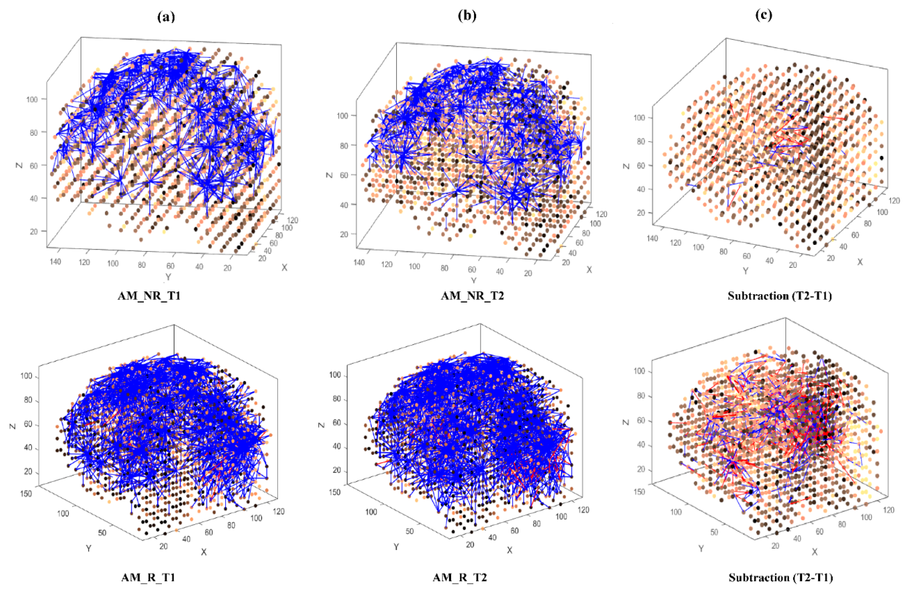 Brainsci 11 00052 g003 Brainsci 11 00052 g003