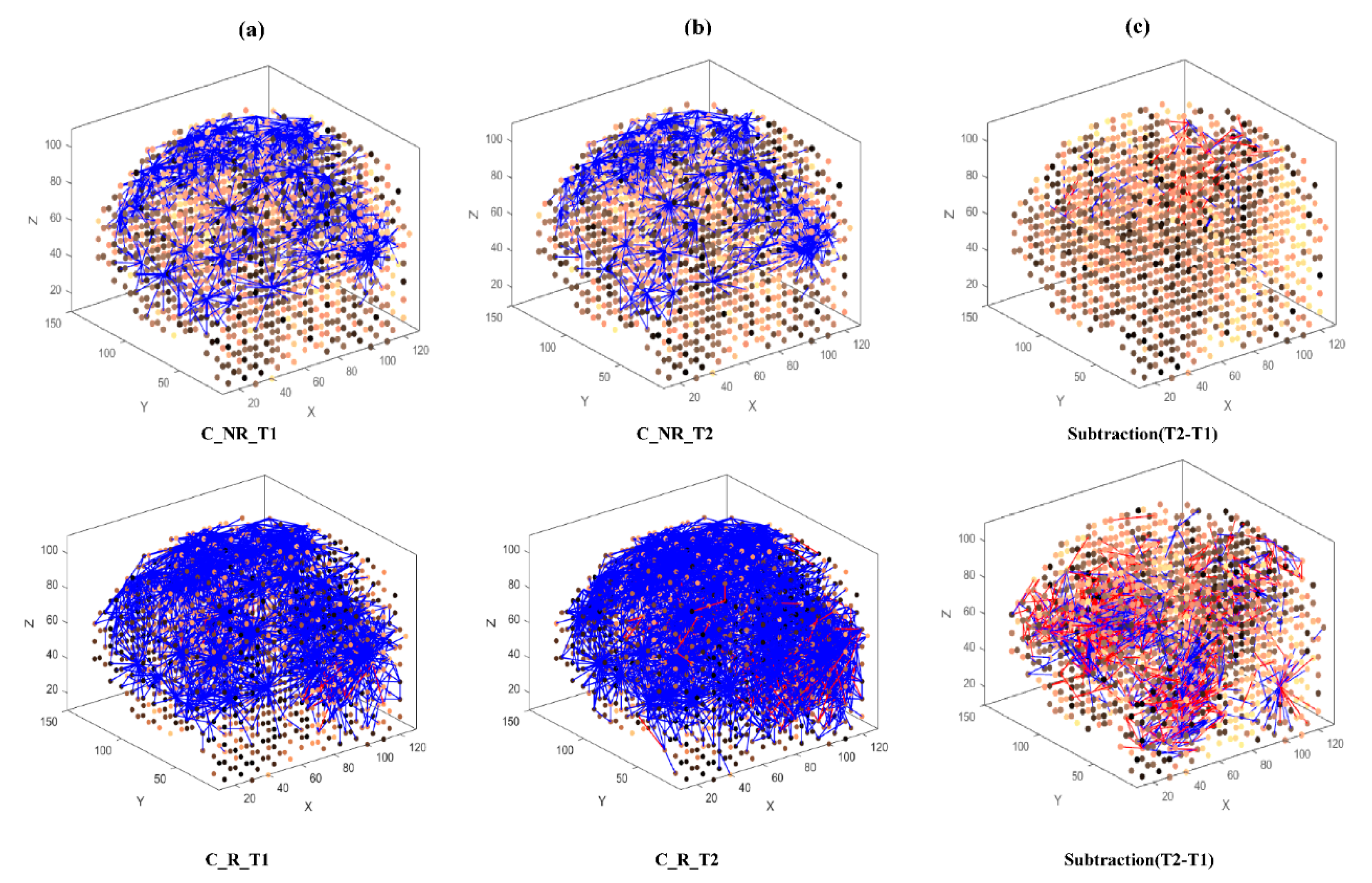 Brainsci 11 00052 g004 Brainsci 11 00052 g004