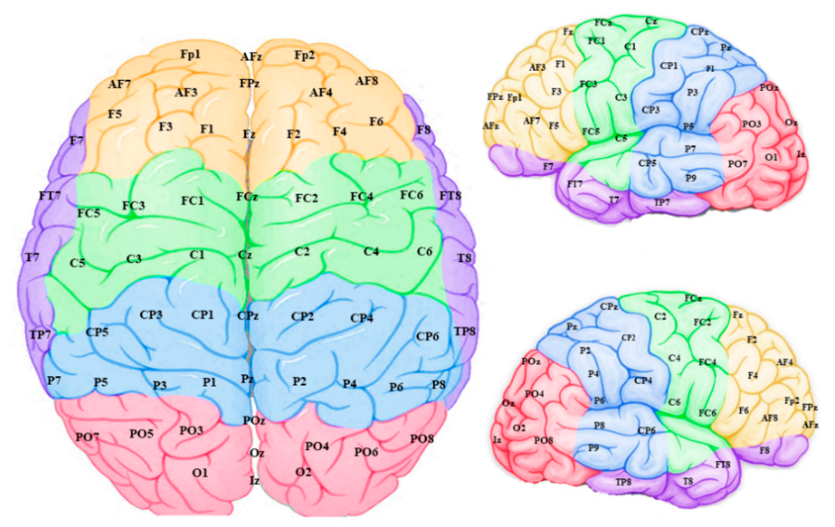 Brainsci 11 00052 g006 Brainsci 11 00052 g006