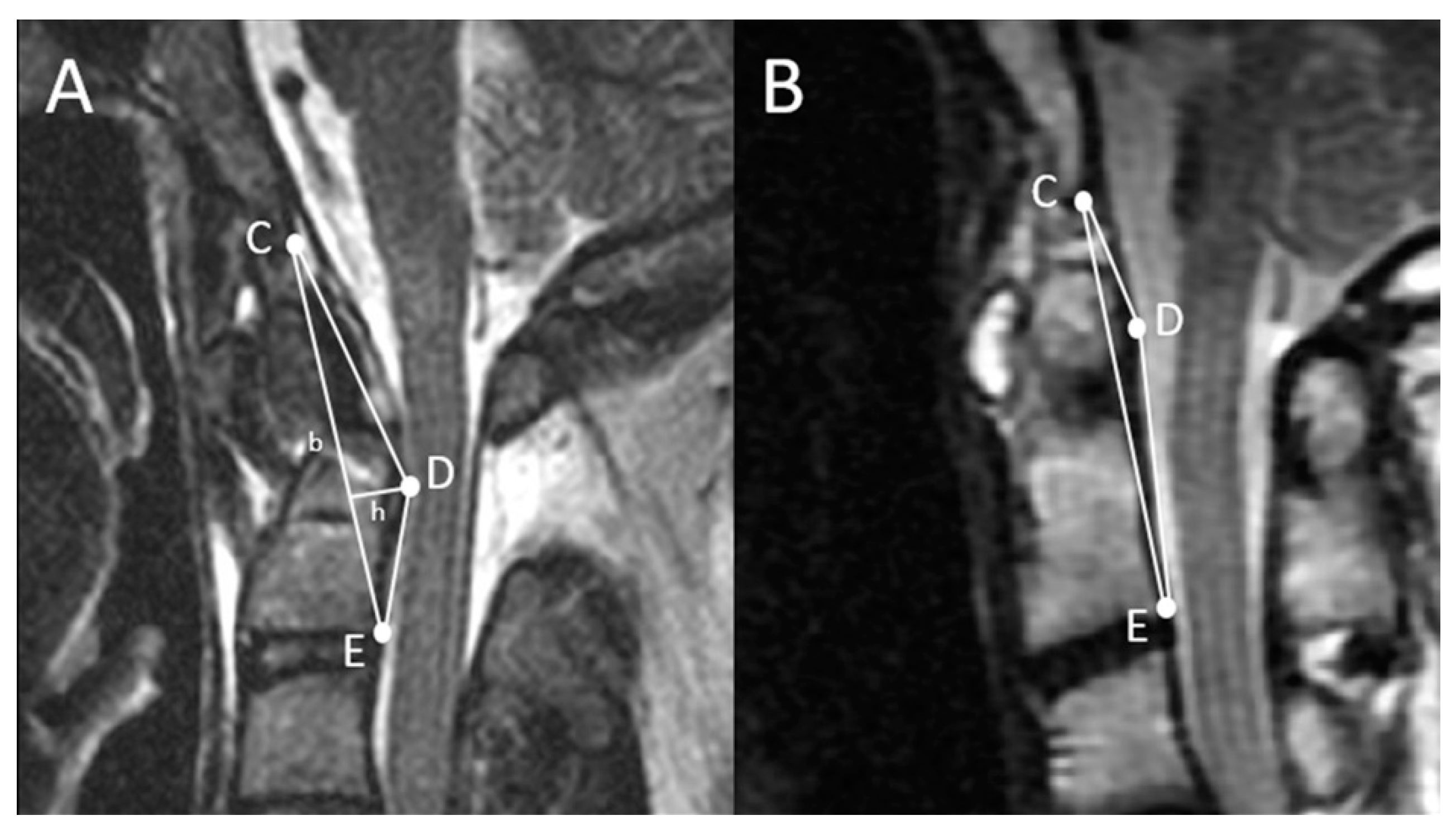 Brainsci 11 00064 g001 Brainsci 11 00064 g001