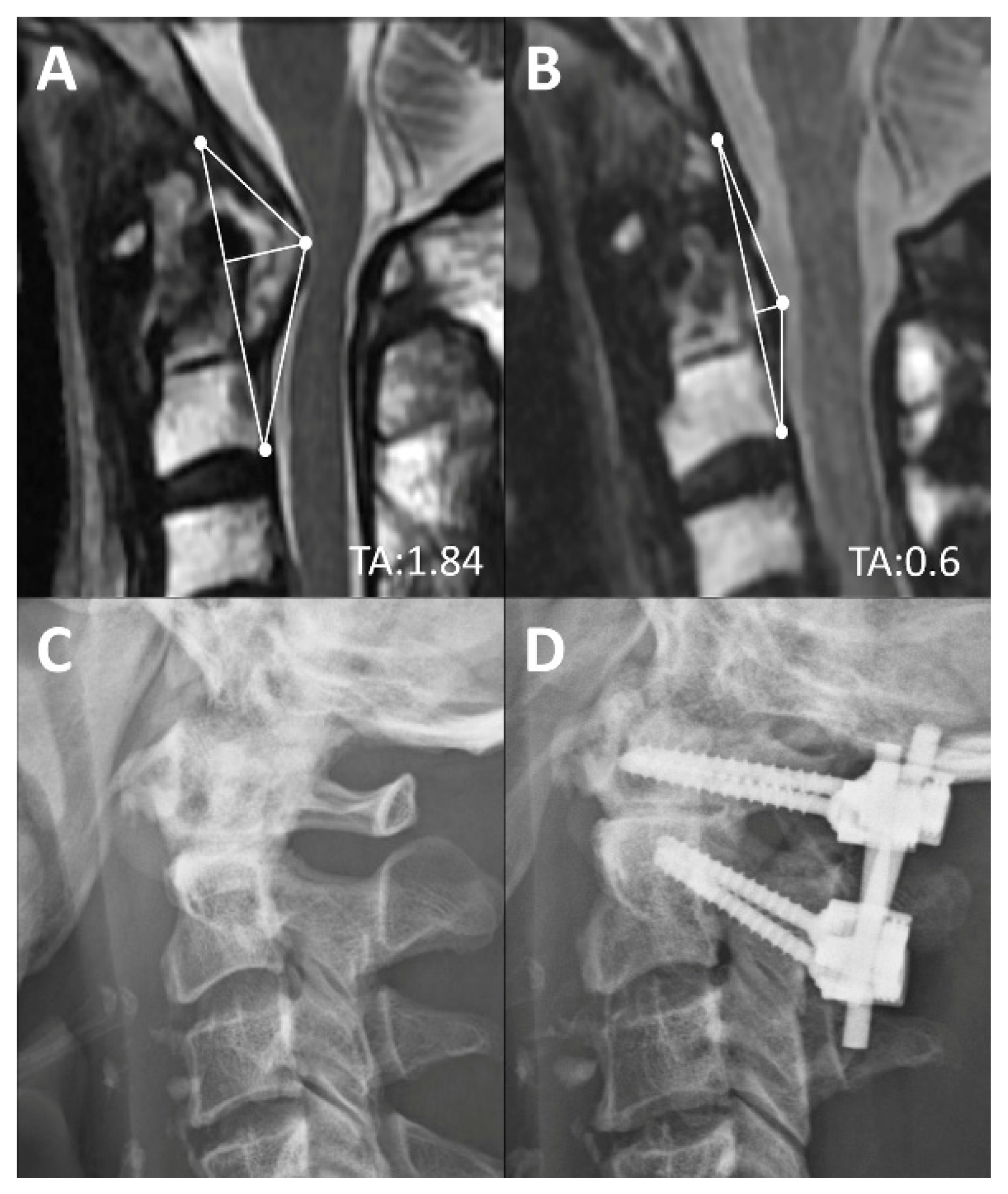 Brainsci 11 00064 g005 Brainsci 11 00064 g005