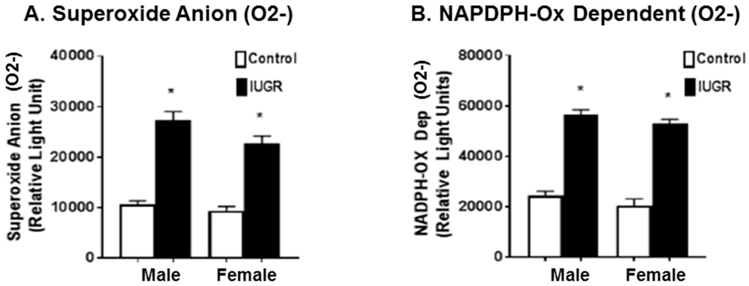 Brainsci 11 00078 g004