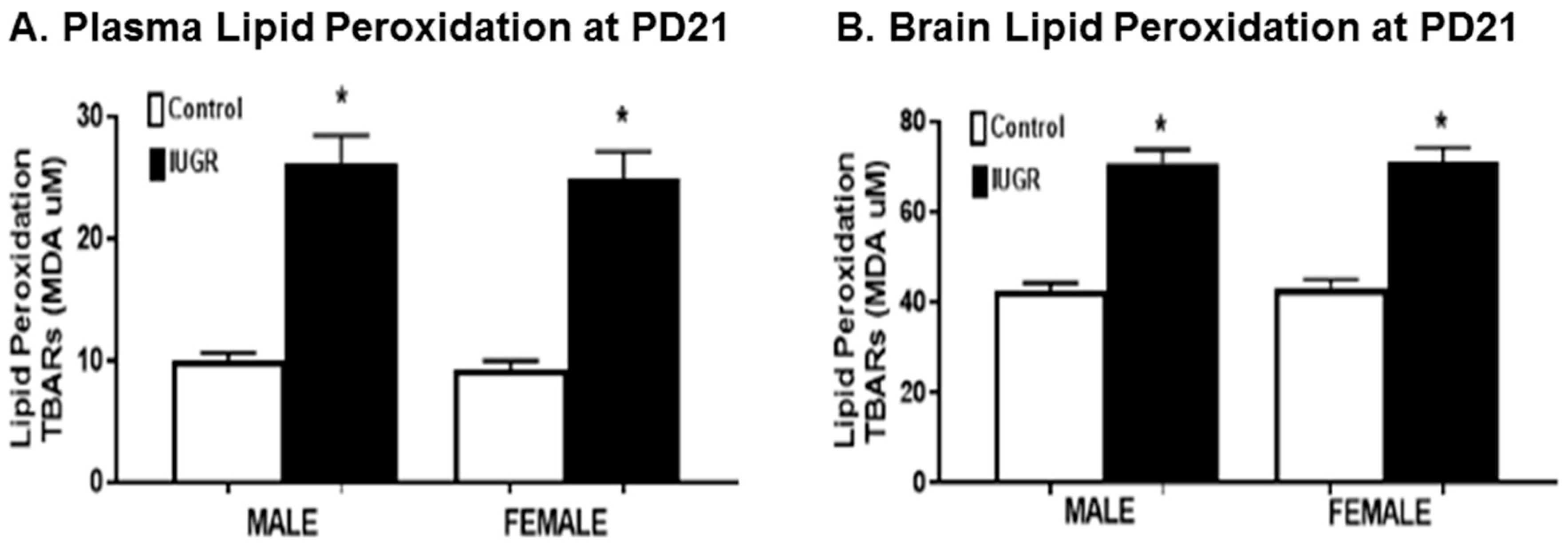 Brainsci 11 00078 g006