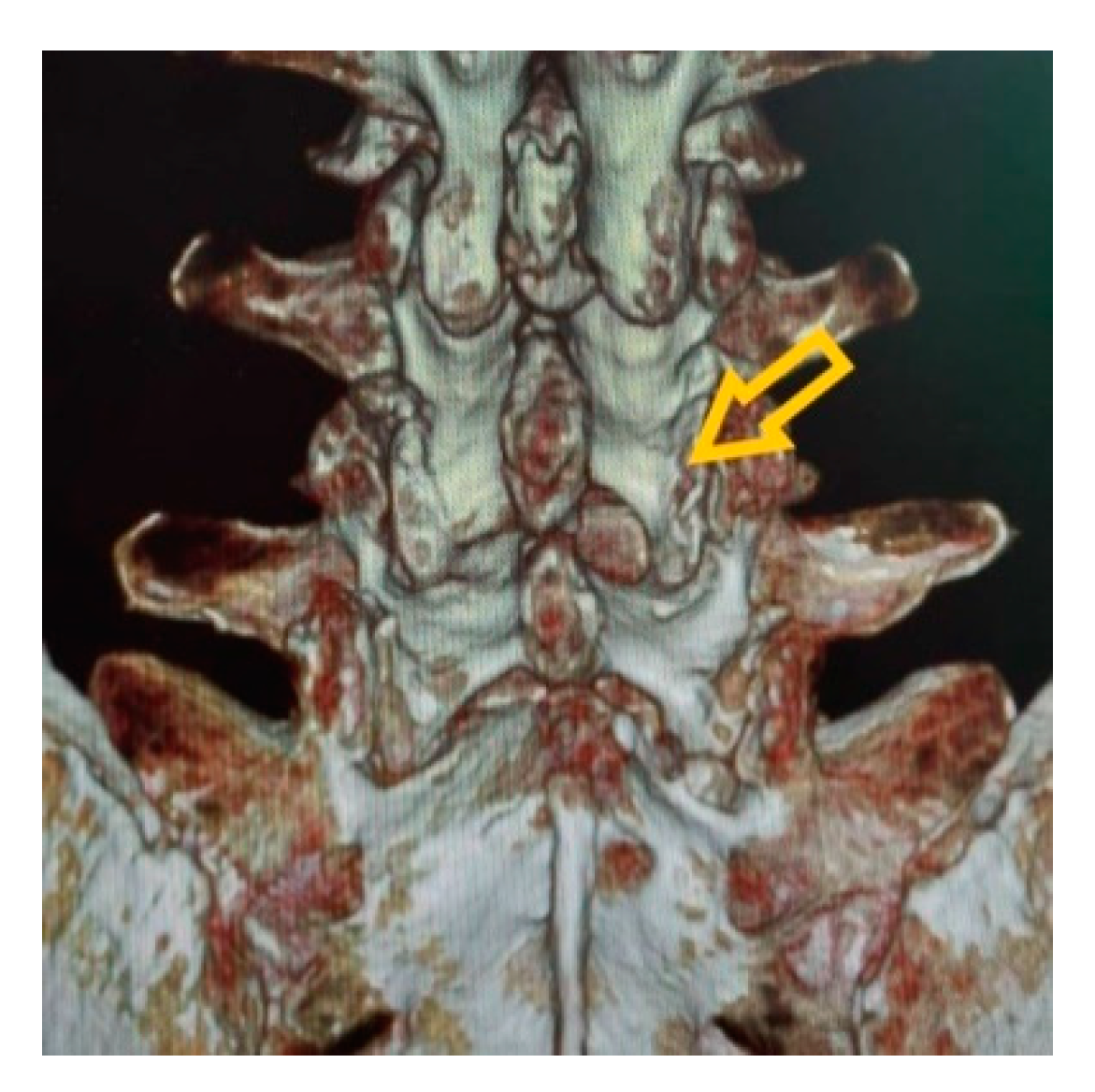 Brainsci 11 00083 g002