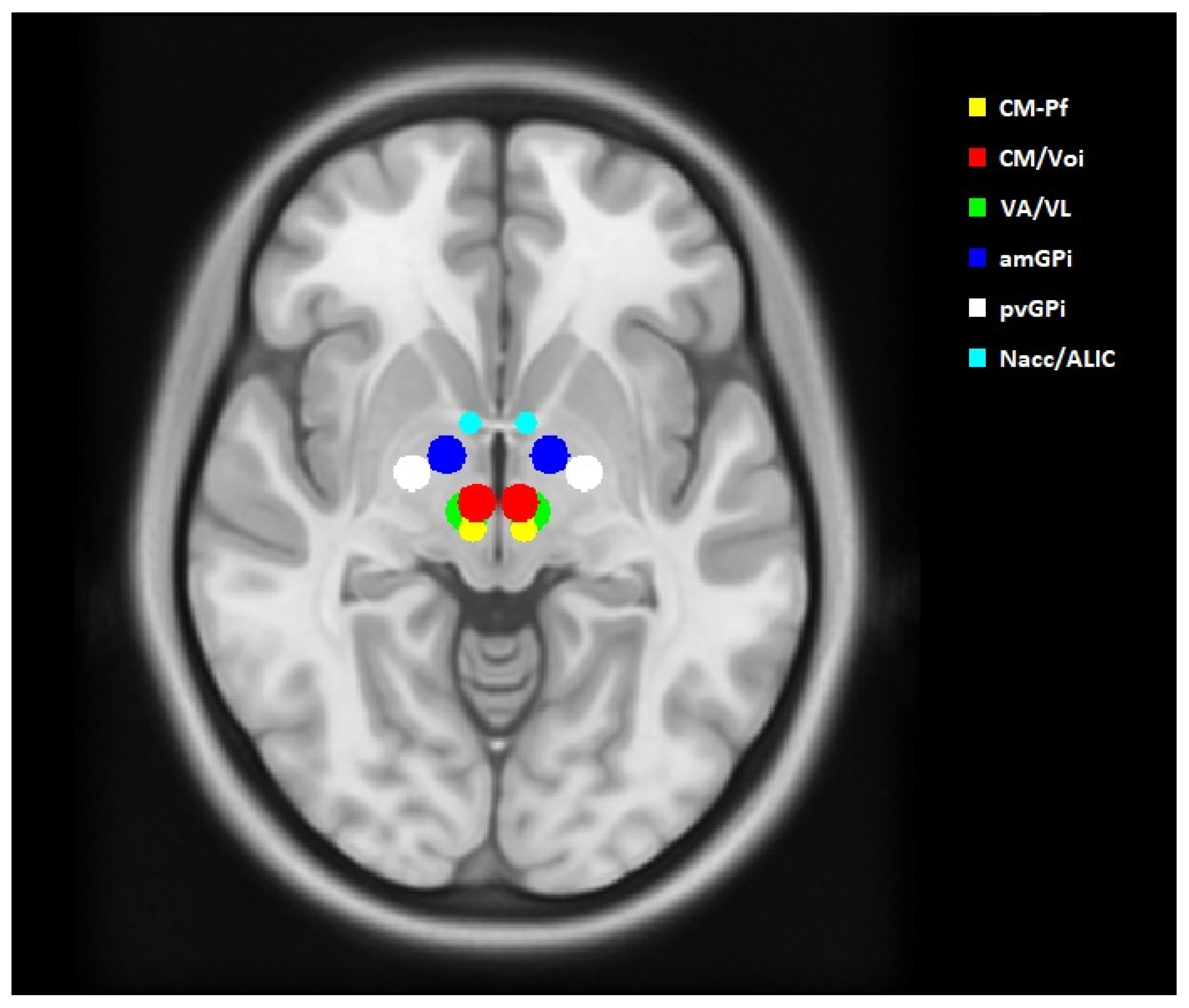 Brainsci 11 00087 g001 Brainsci 11 00087 g001
