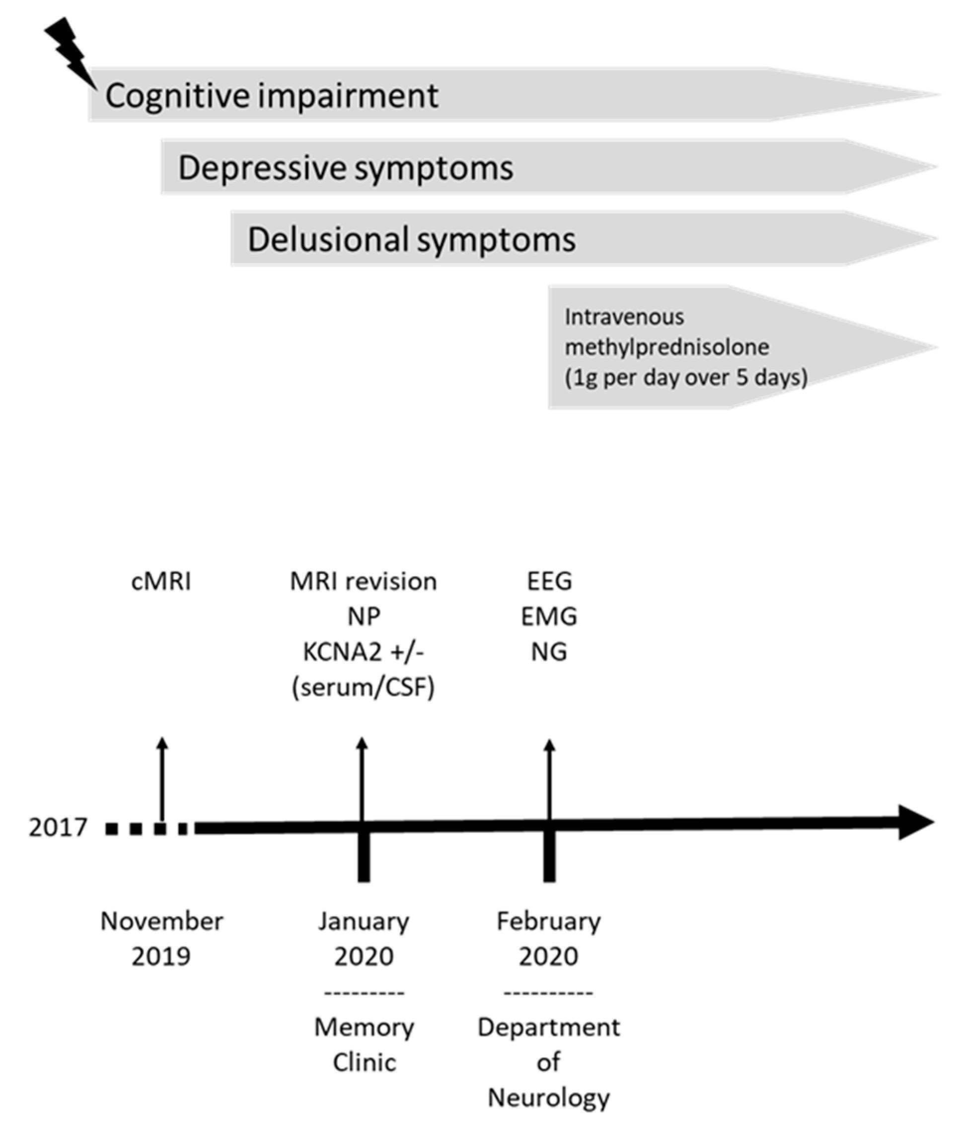 Brainsci 11 00089 g001 Brainsci 11 00089 g001