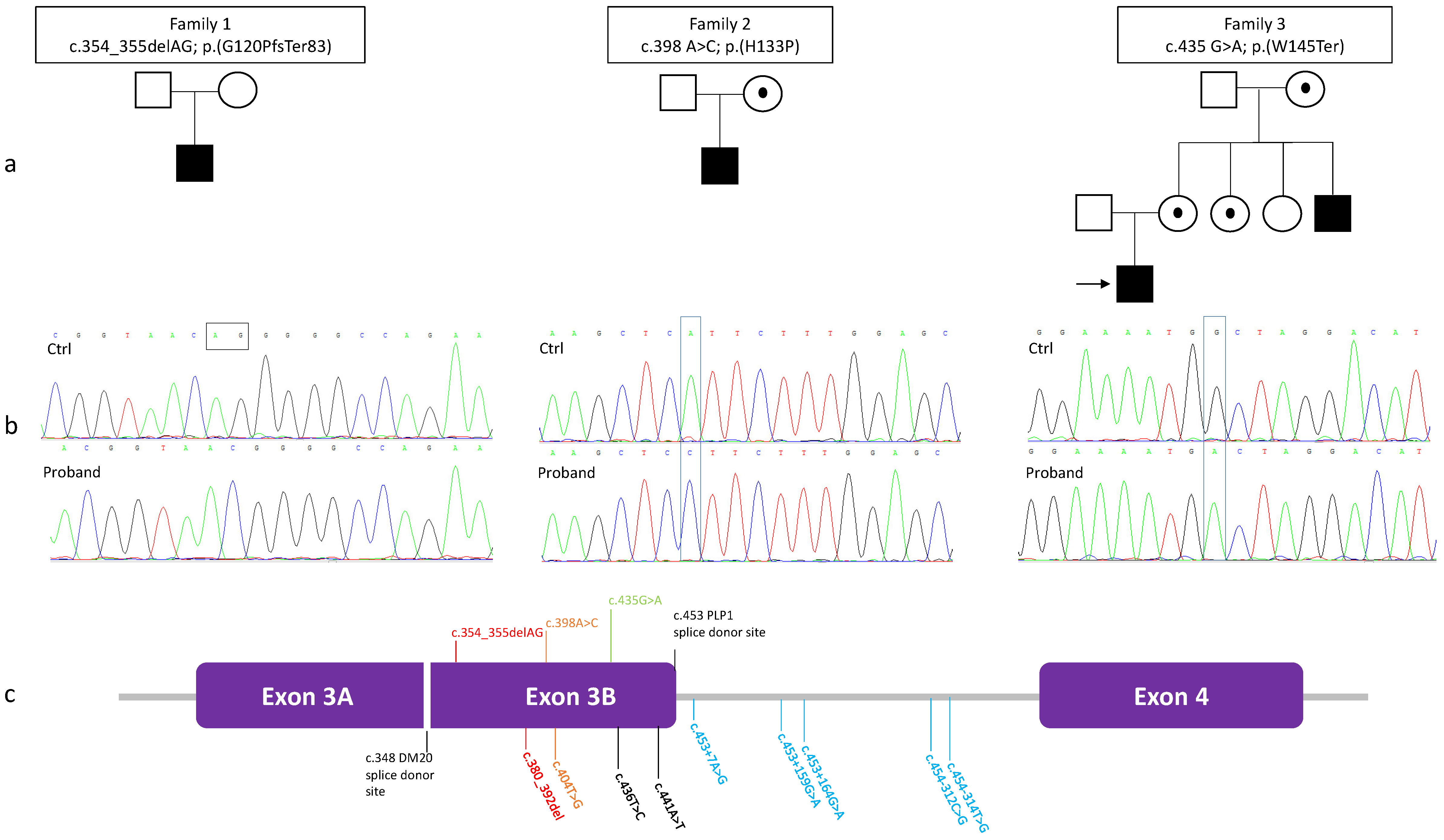 Brainsci 11 00093 g001