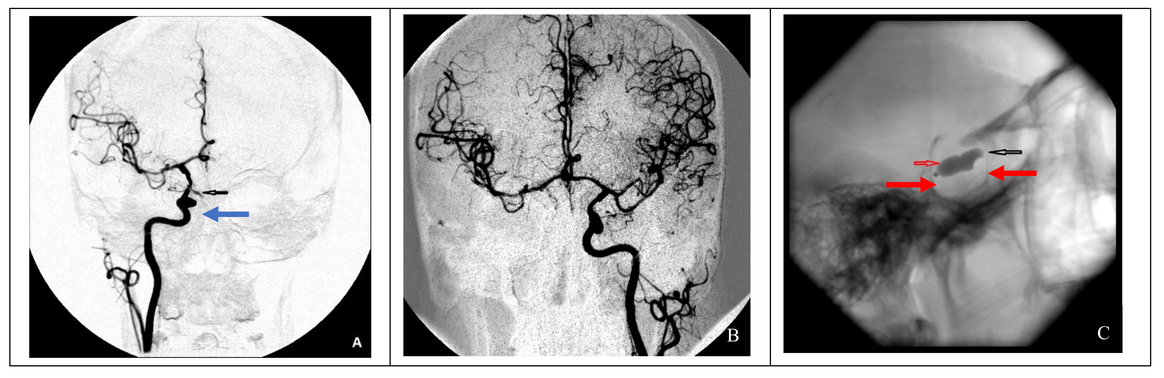 Brainsci 11 00099 g002