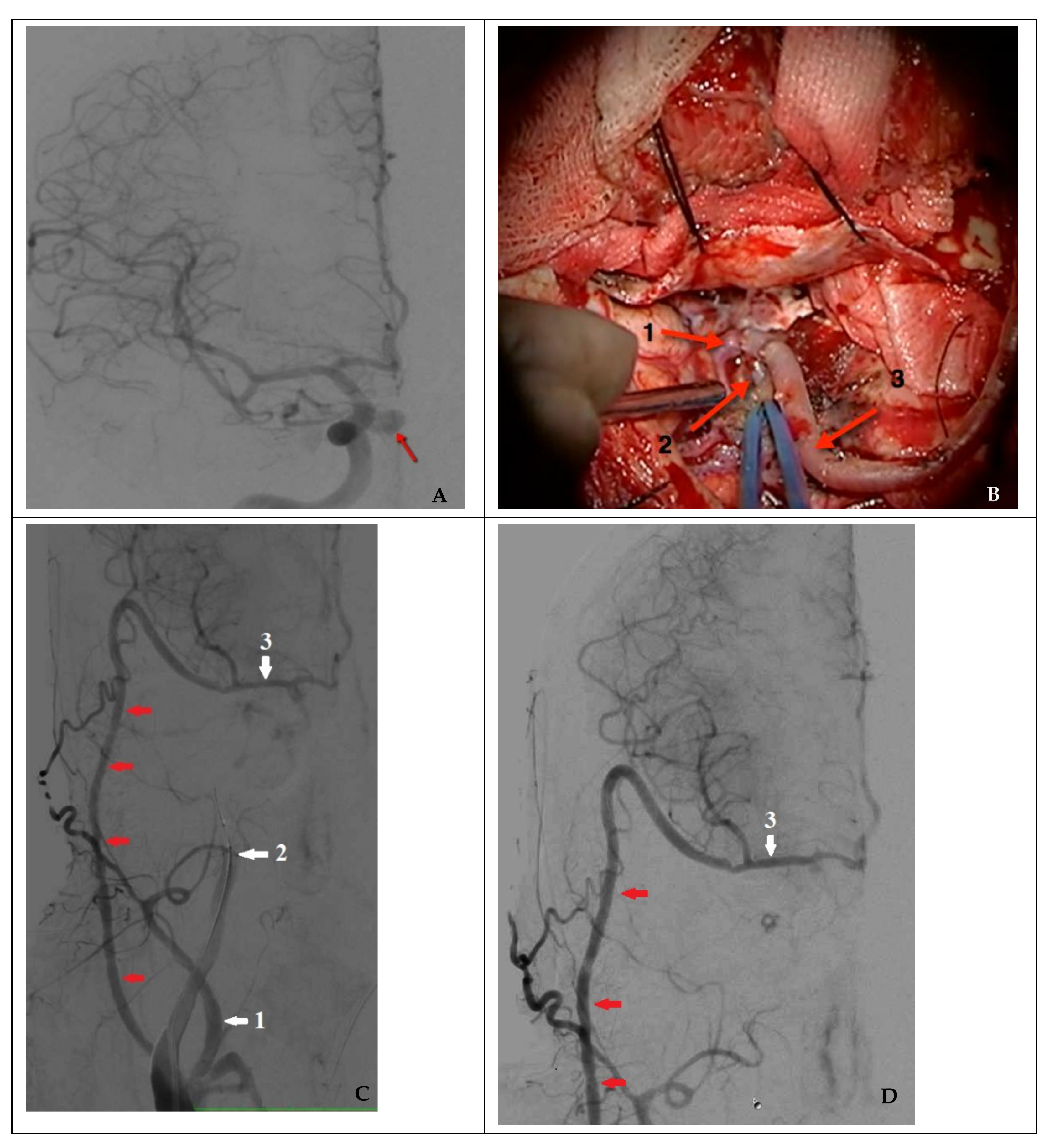 Brainsci 11 00099 g005